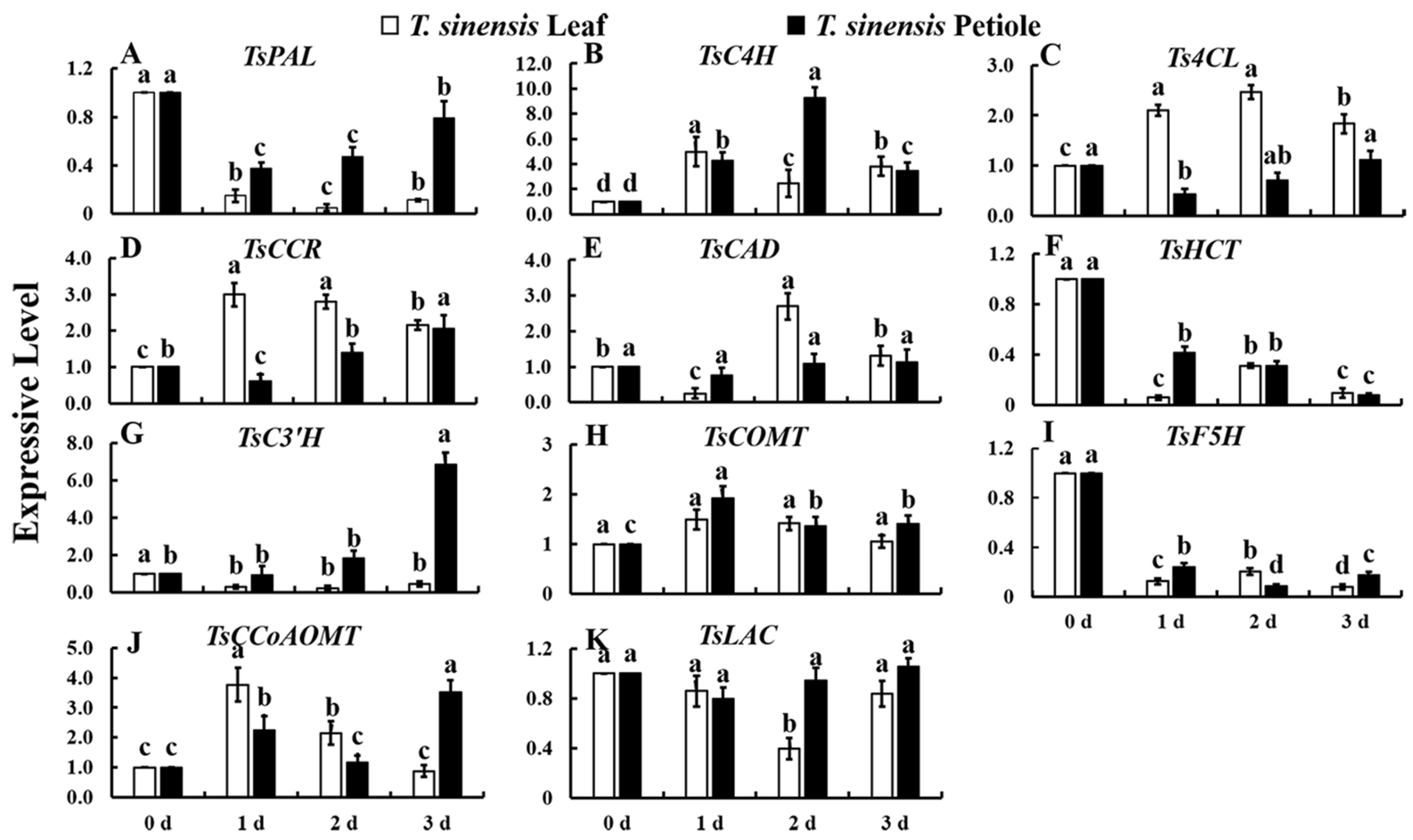 Agronomy 13 00119 g004