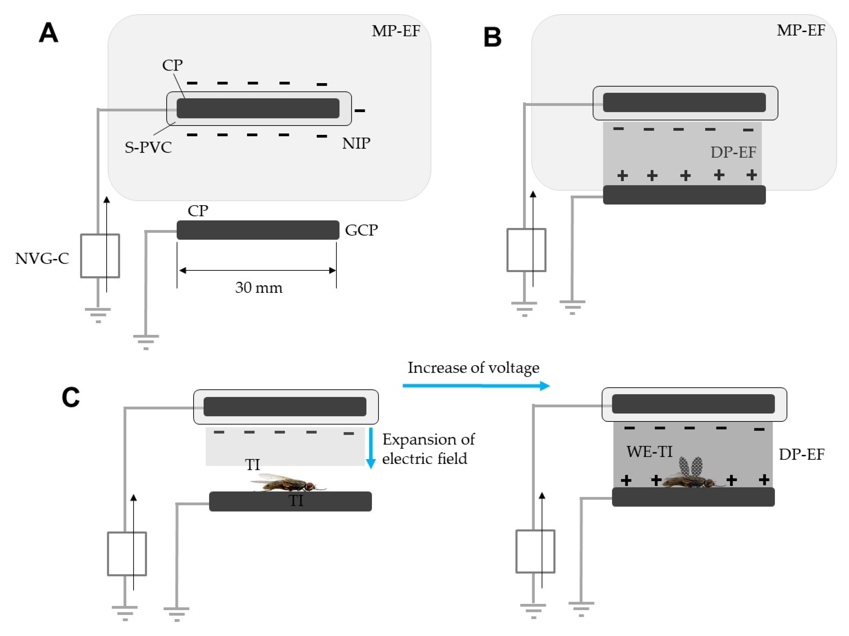 Agronomy 13 00125 g001