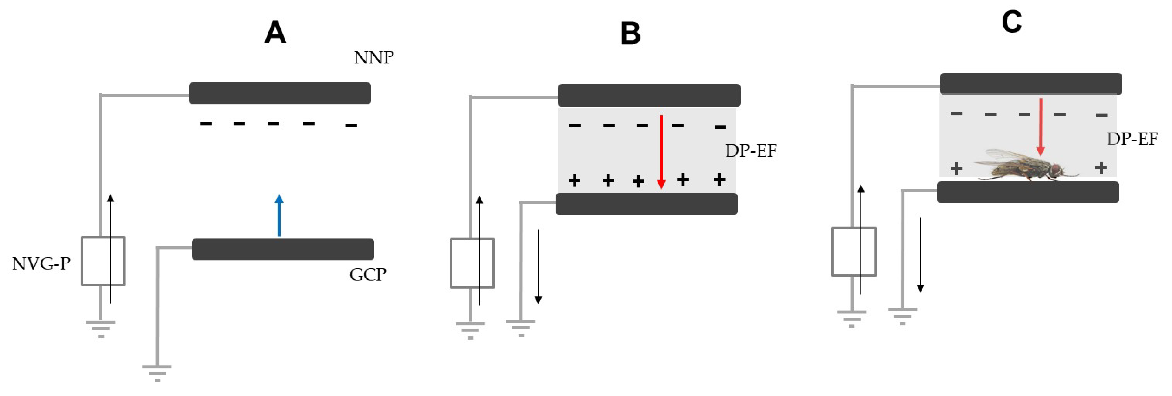 Agronomy 13 00125 g002