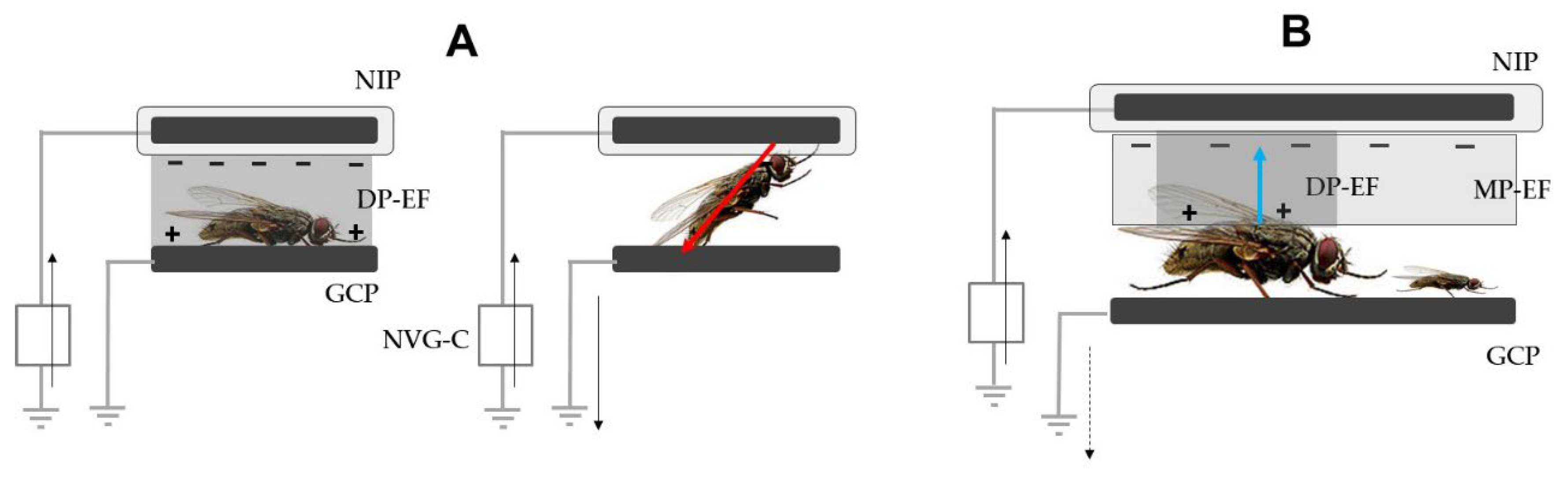 Agronomy 13 00125 g007