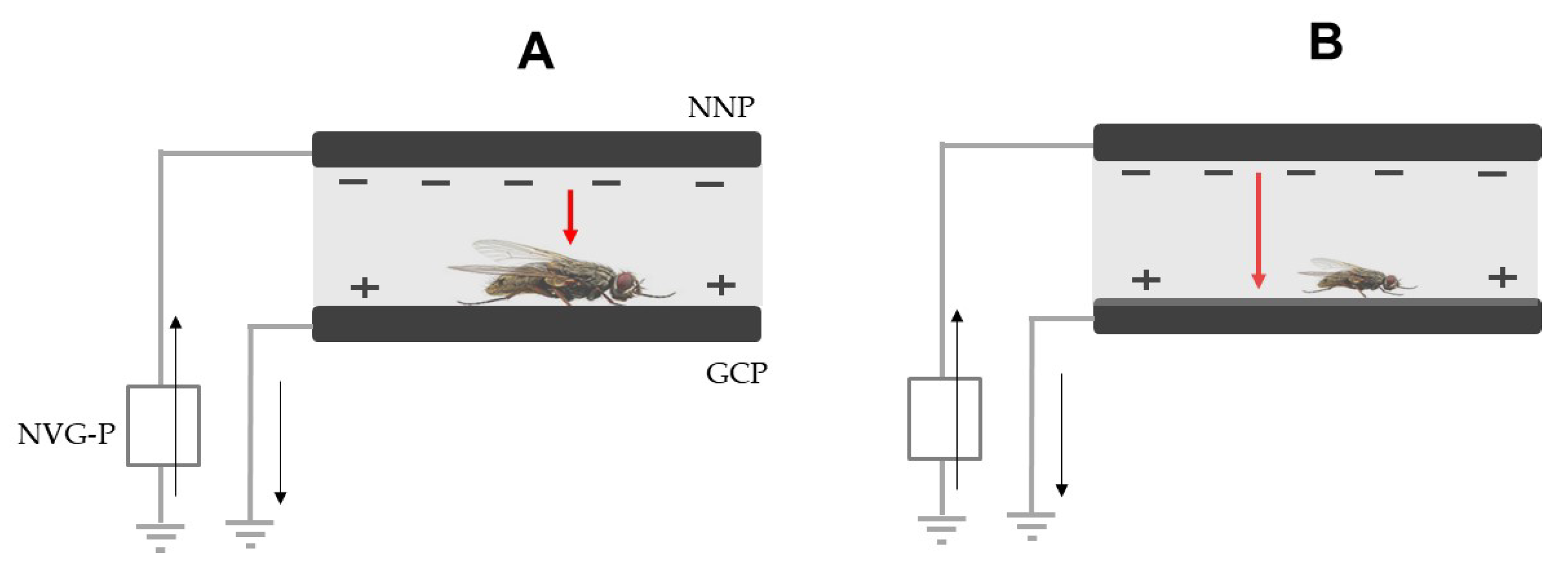 Agronomy 13 00125 g008