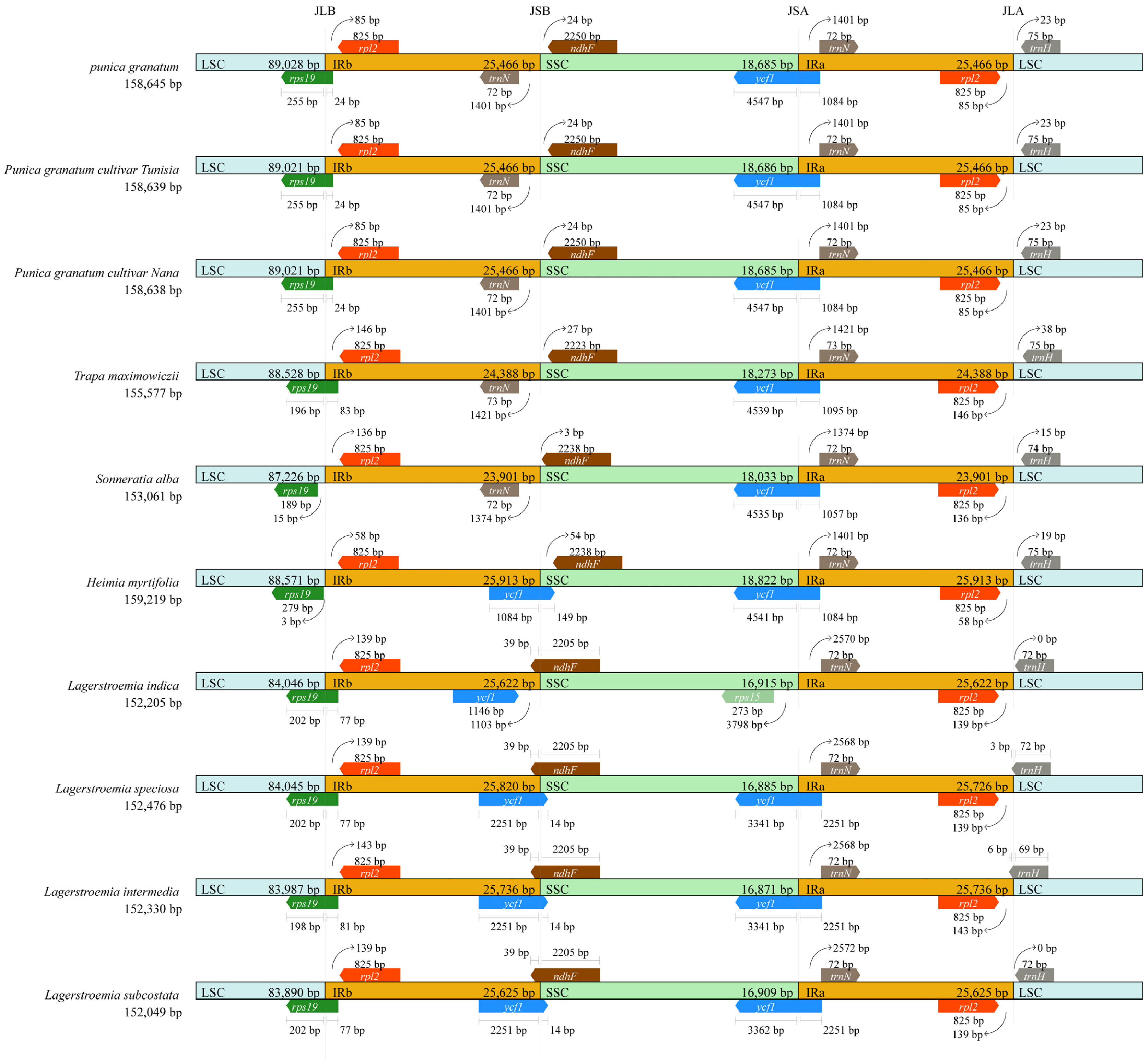 Agronomy 13 00126 g005