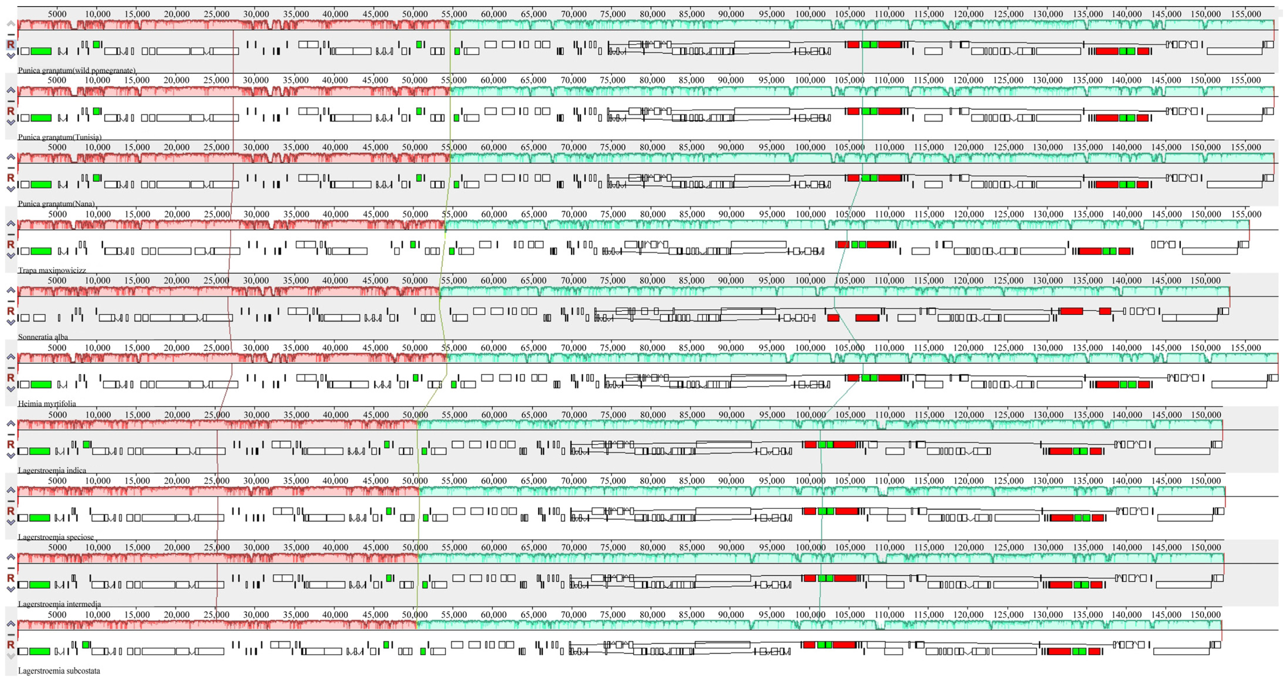 Agronomy 13 00126 g006