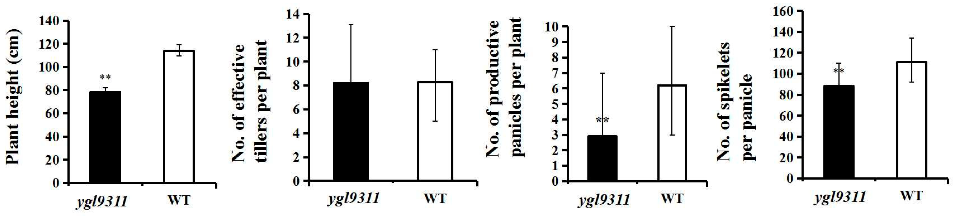 Agronomy 13 00129 g002