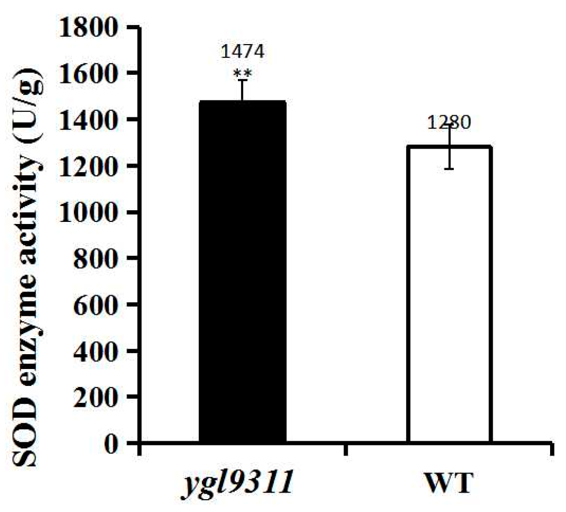 Agronomy 13 00129 g003