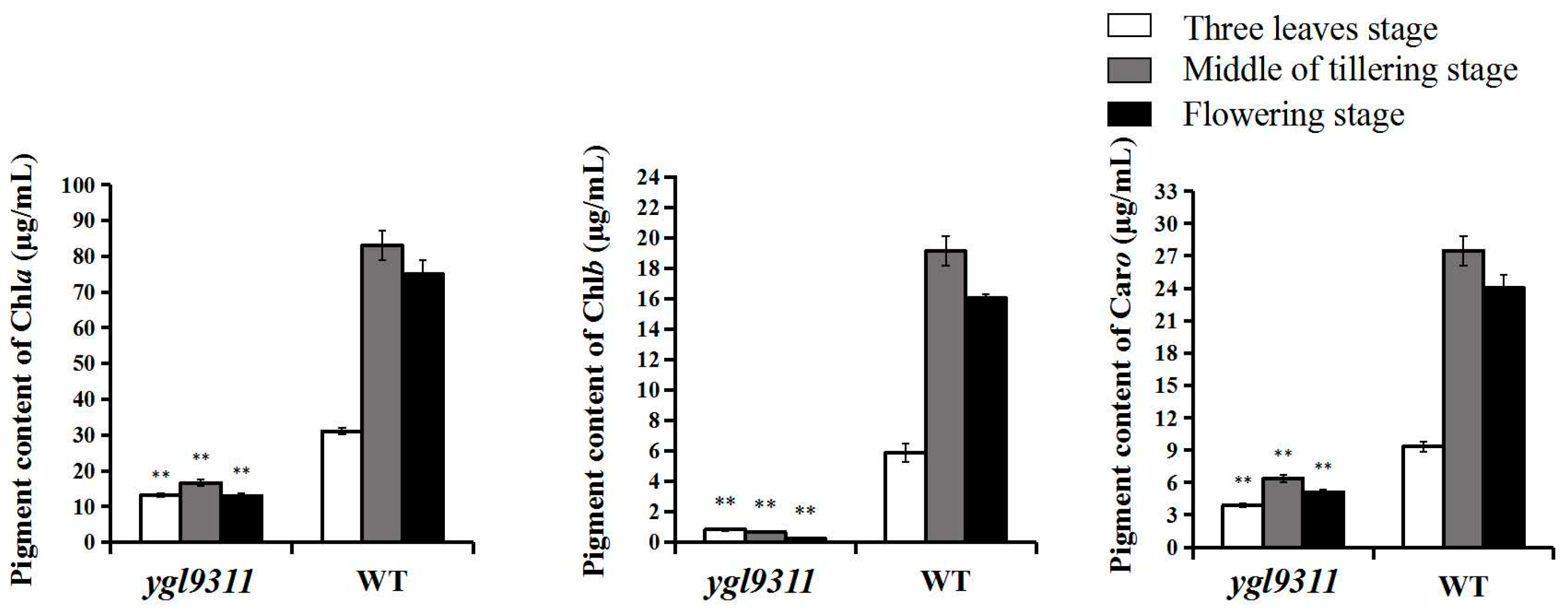 Agronomy 13 00129 g004
