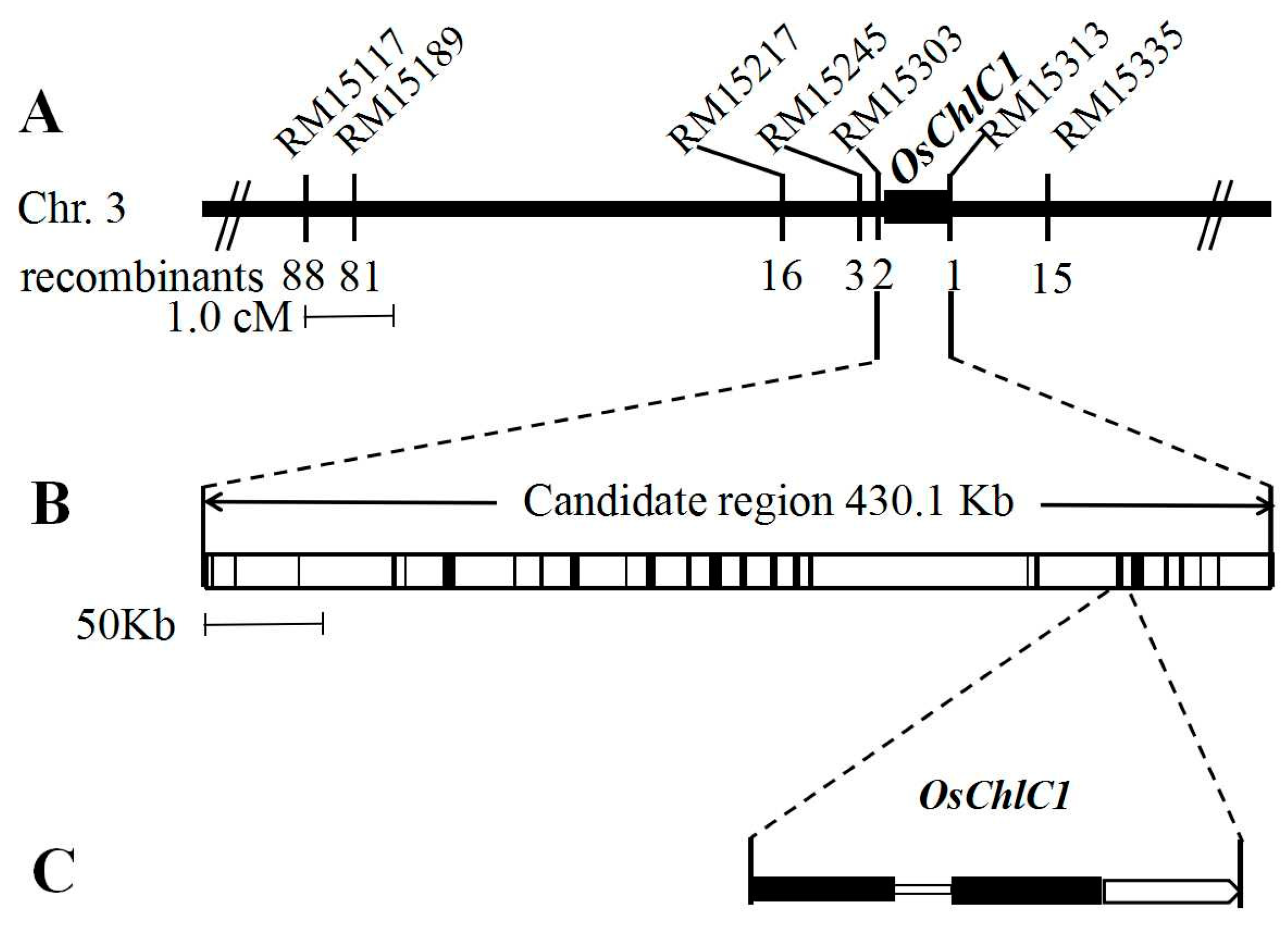 Agronomy 13 00129 g007