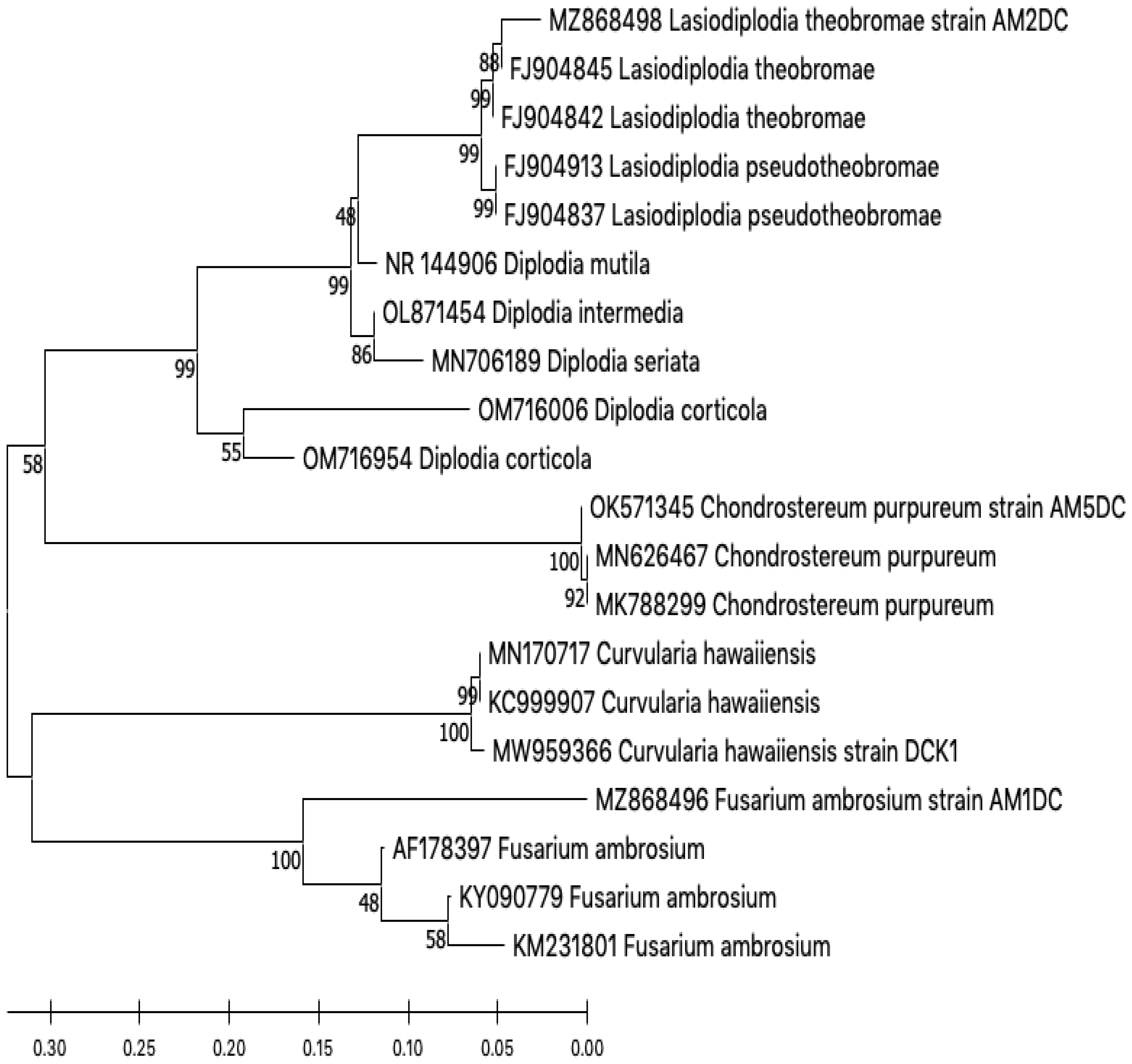 Agronomy 13 00130 g007 Agronomy 13 00130 g007