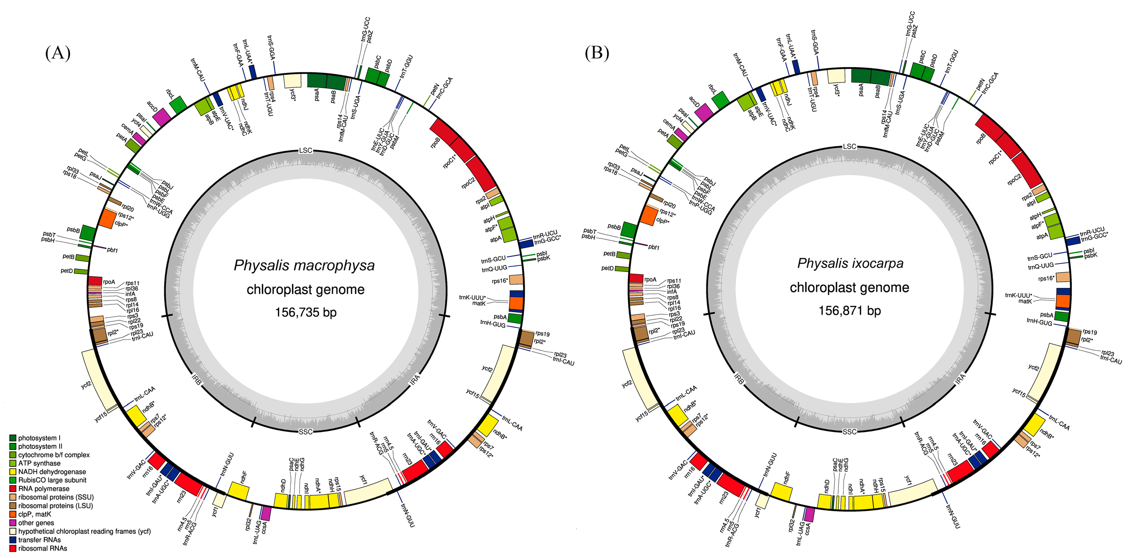 Agronomy 13 00135 g001