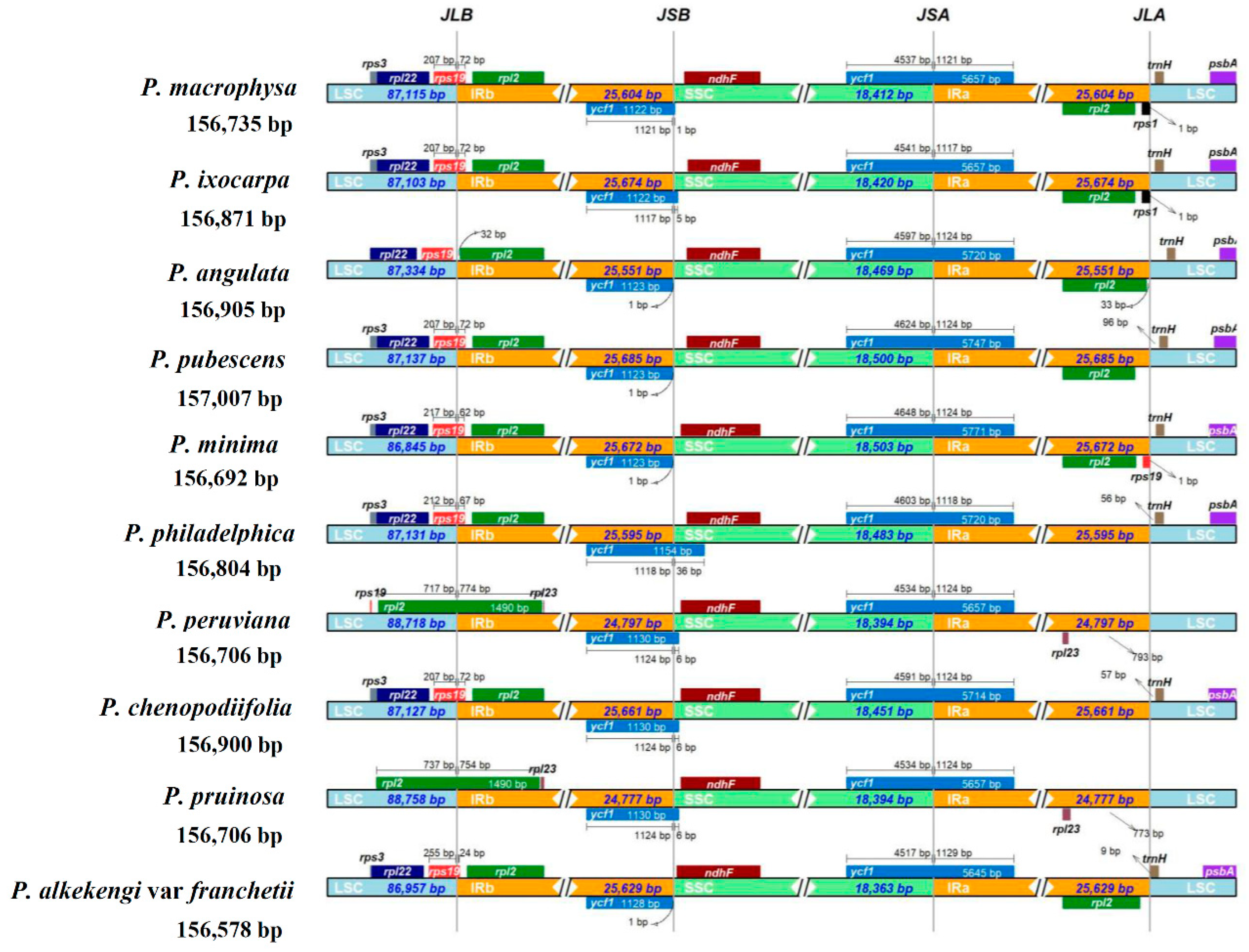 Agronomy 13 00135 g005