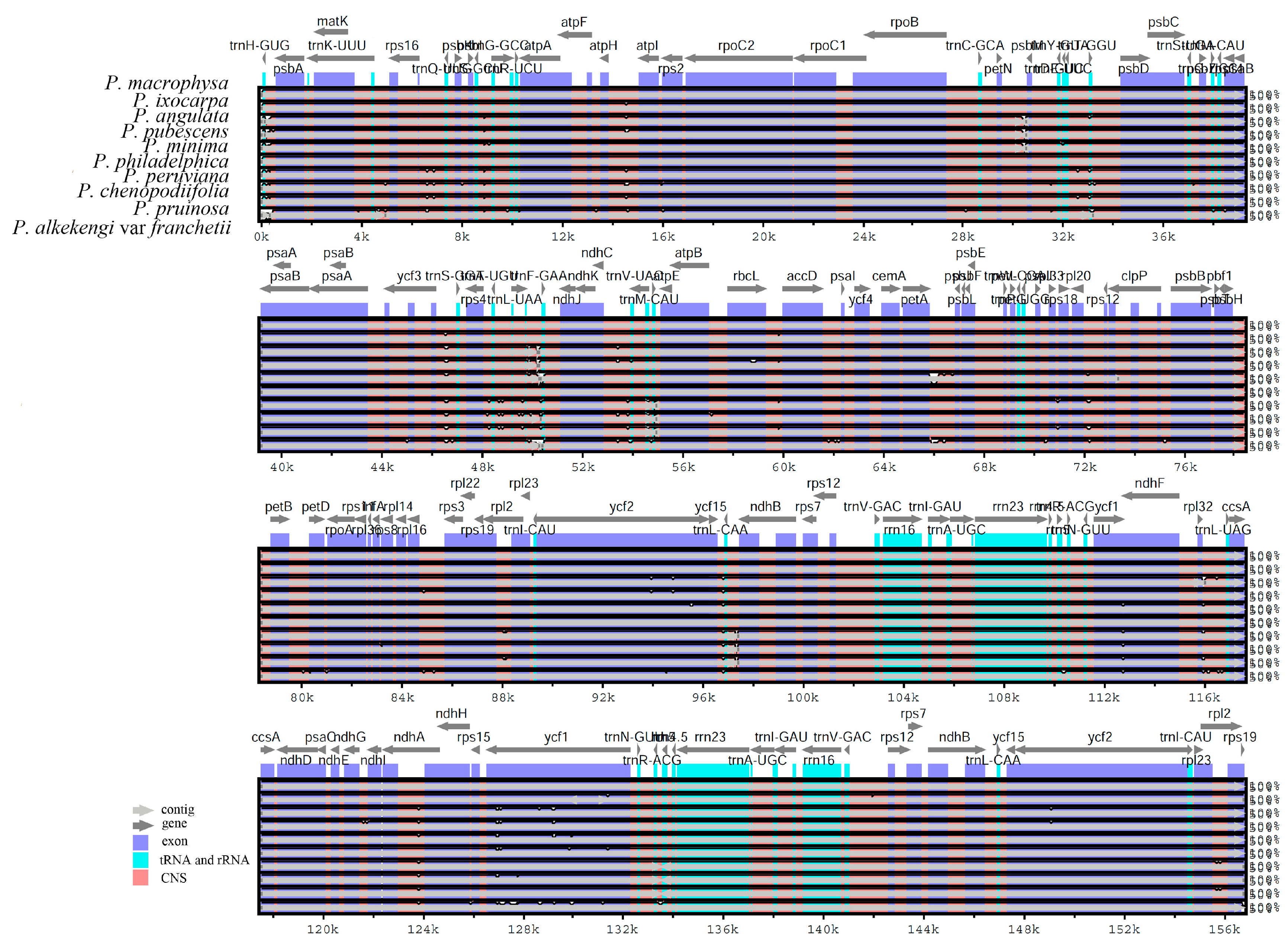 Agronomy 13 00135 g006