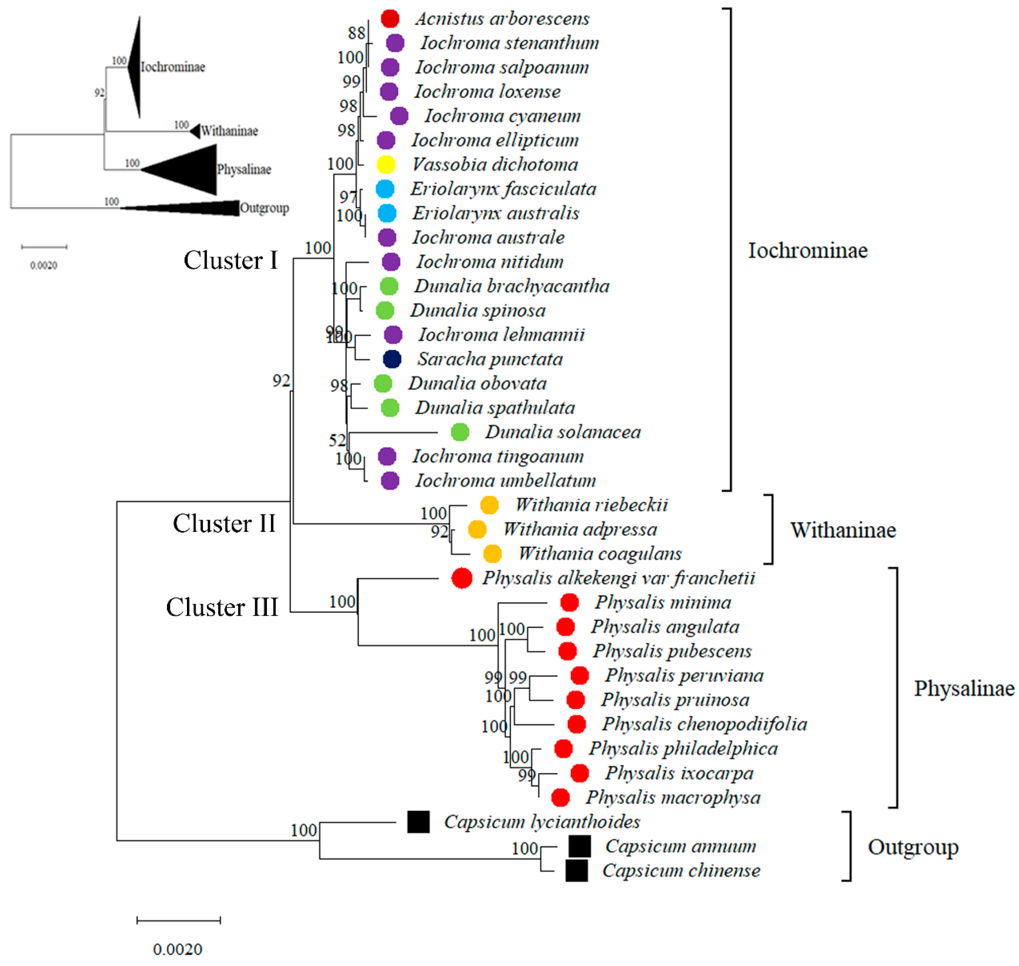 Agronomy 13 00135 g009