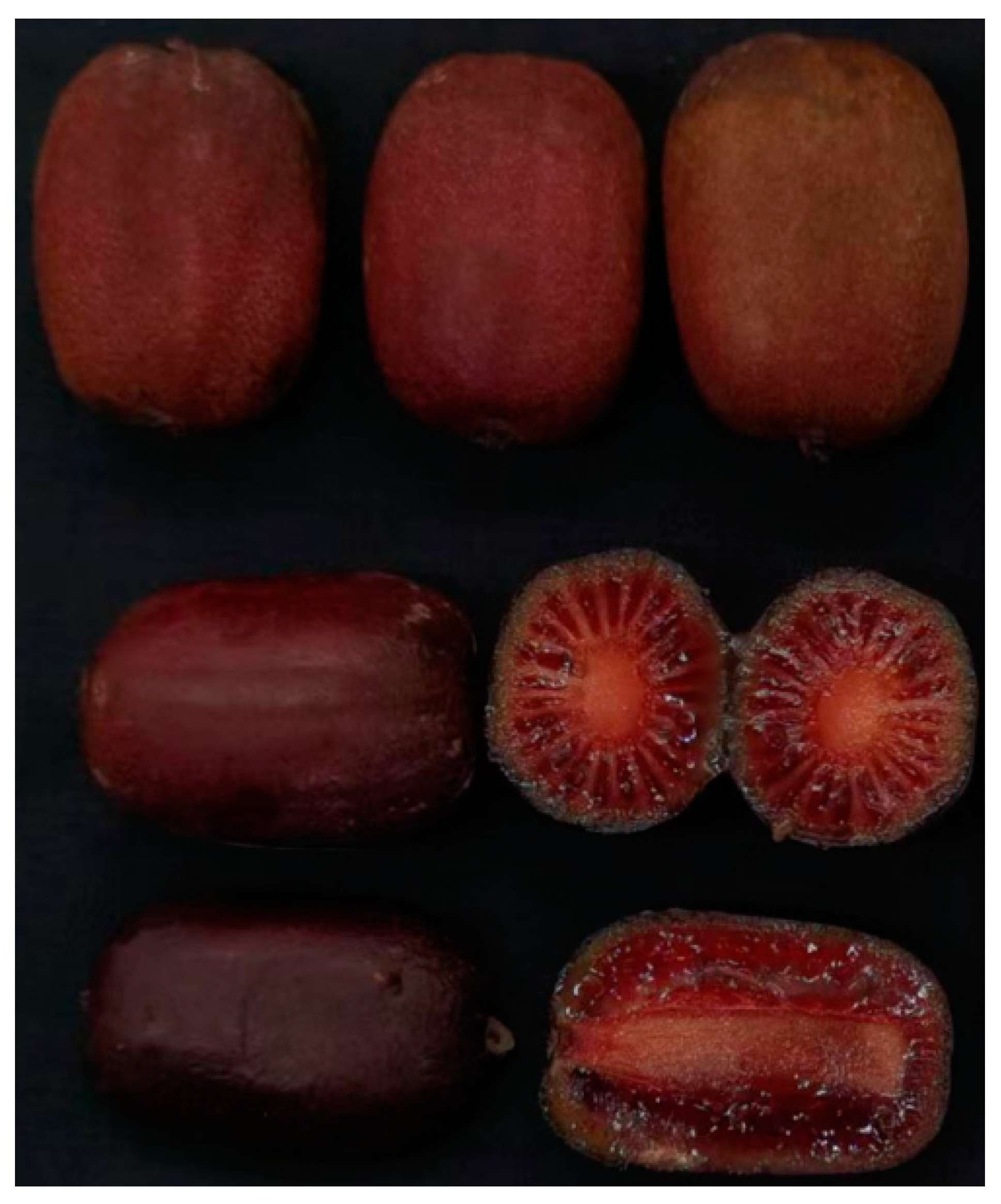 Agronomy 13 00143 g001 Agronomy 13 00143 g001