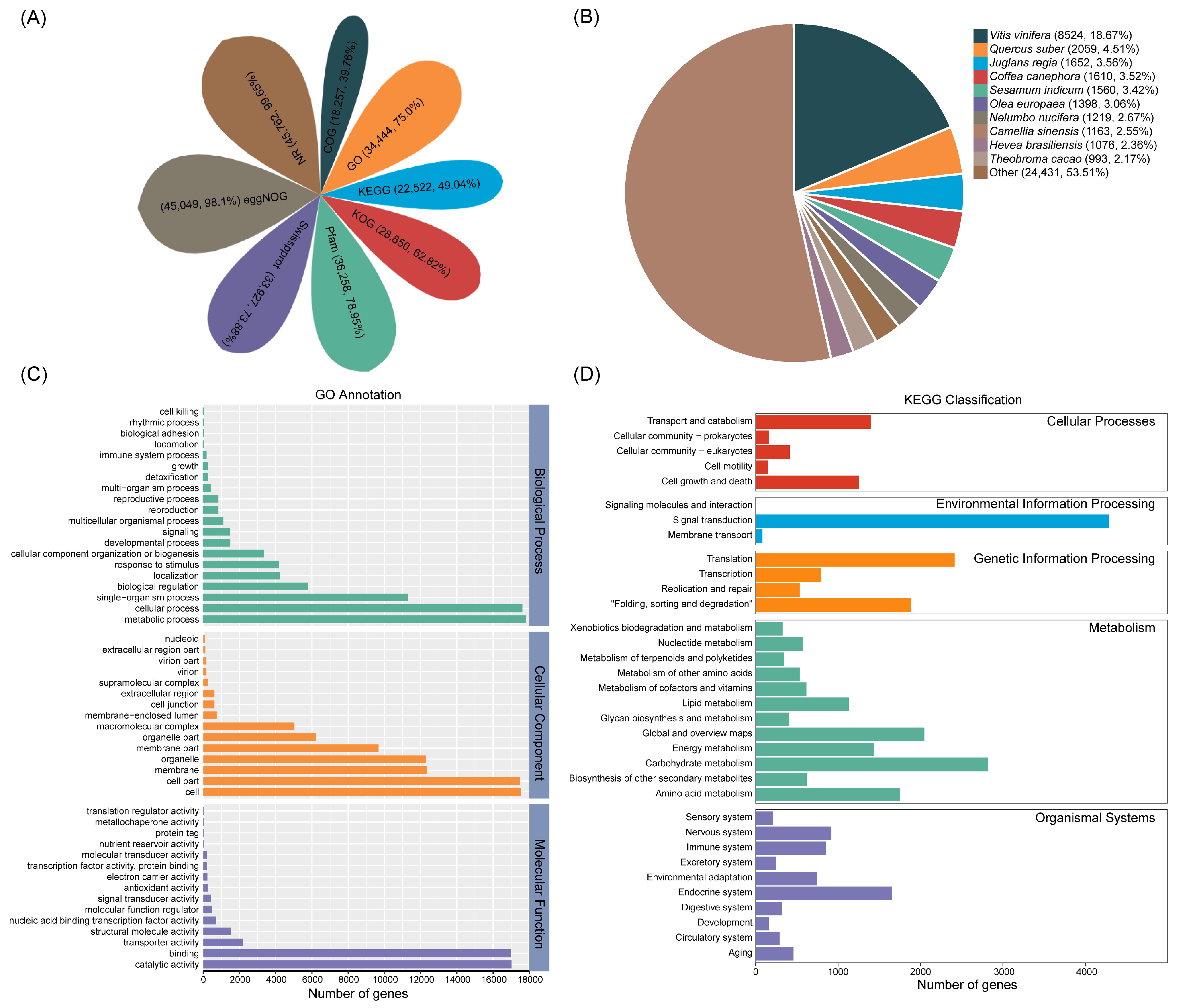 Agronomy 13 00143 g002 Agronomy 13 00143 g002