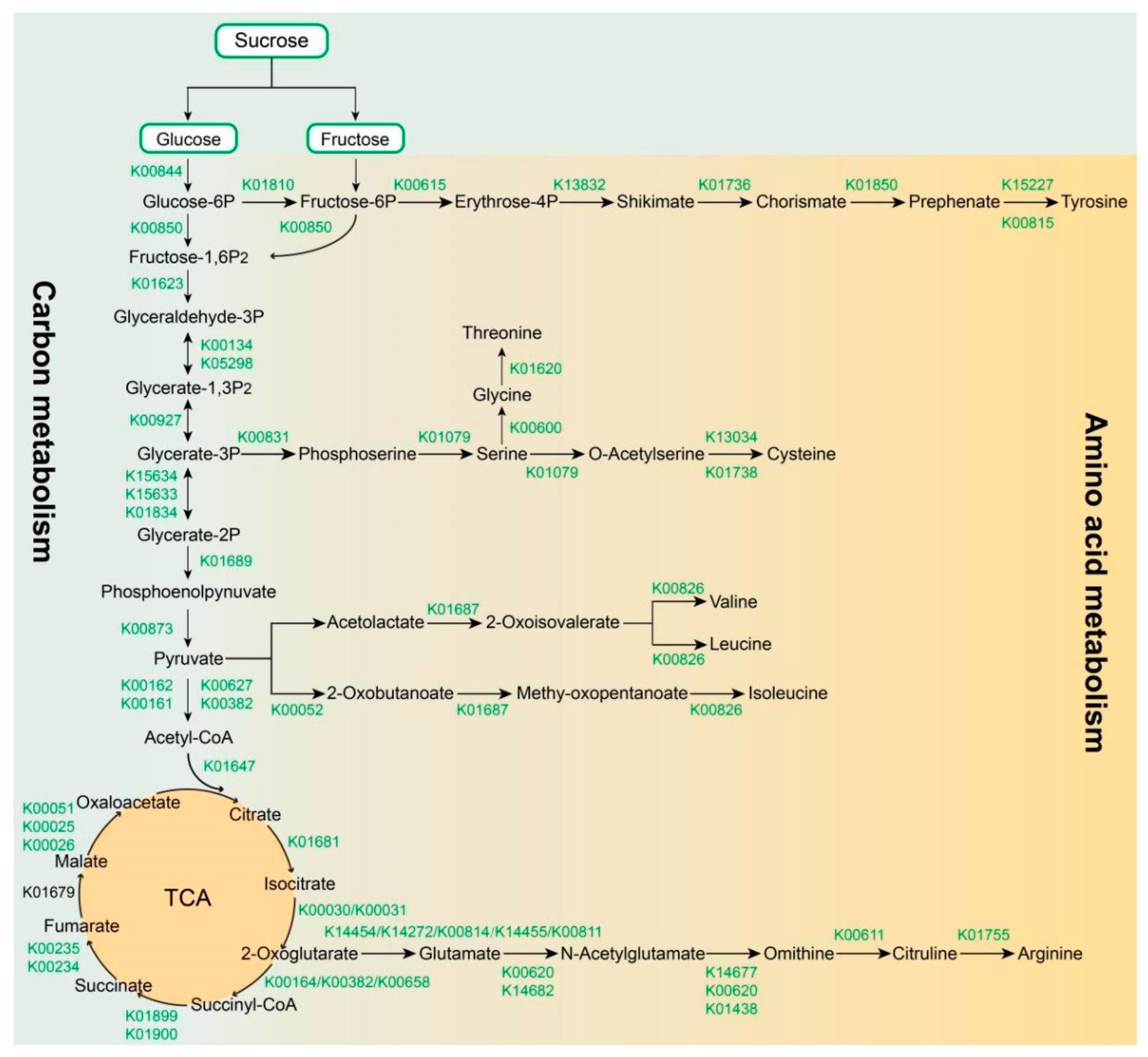 Agronomy 13 00143 g003 Agronomy 13 00143 g003
