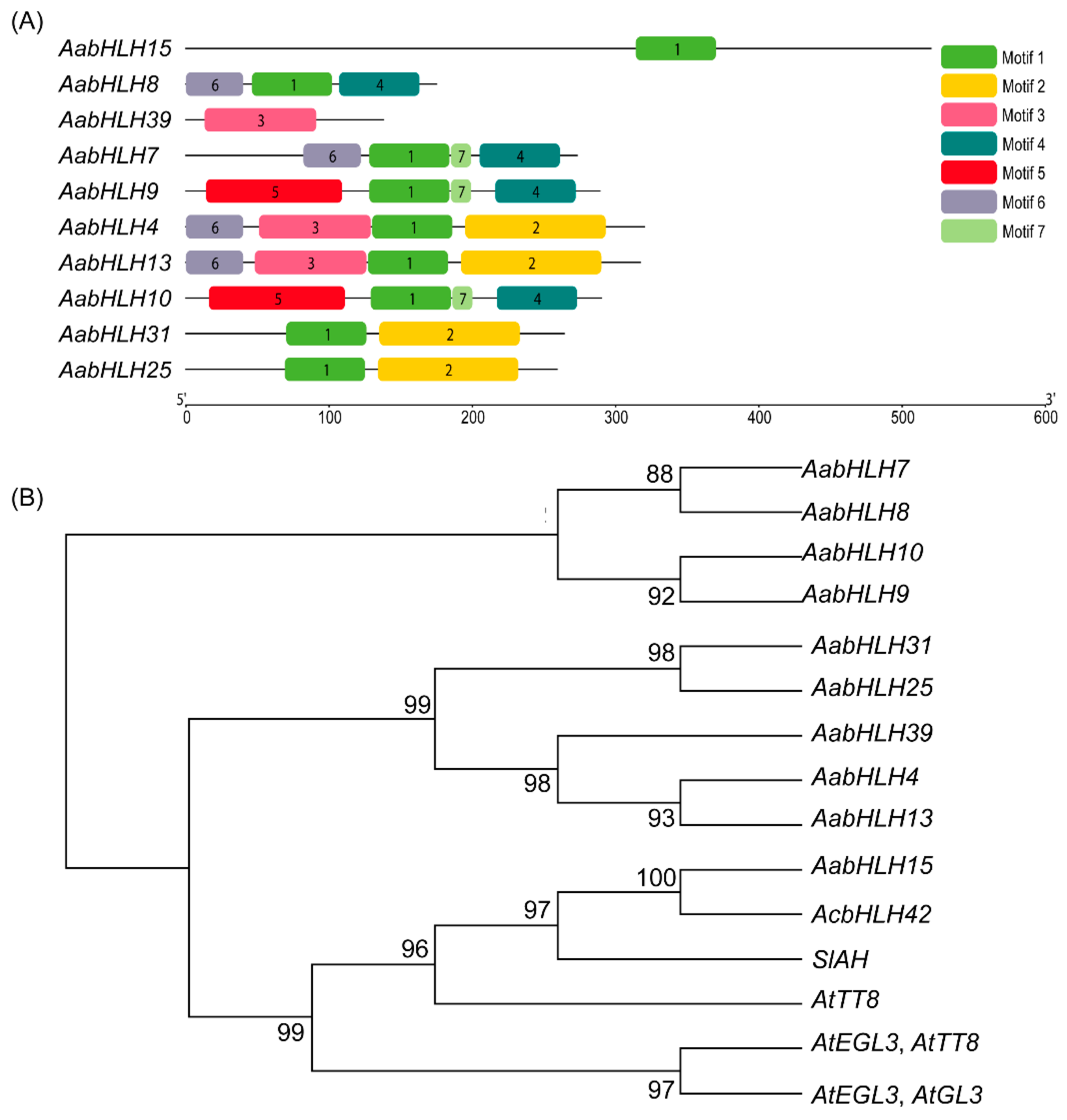 Agronomy 13 00143 g006 Agronomy 13 00143 g006
