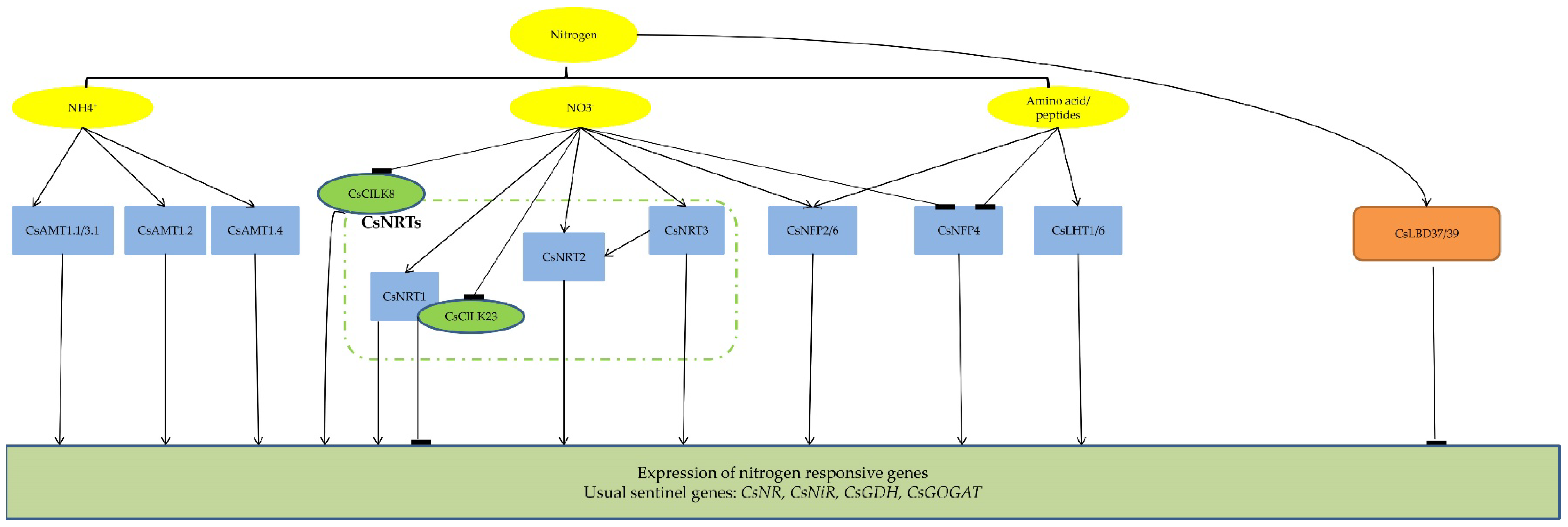 Agronomy 13 00144 g001