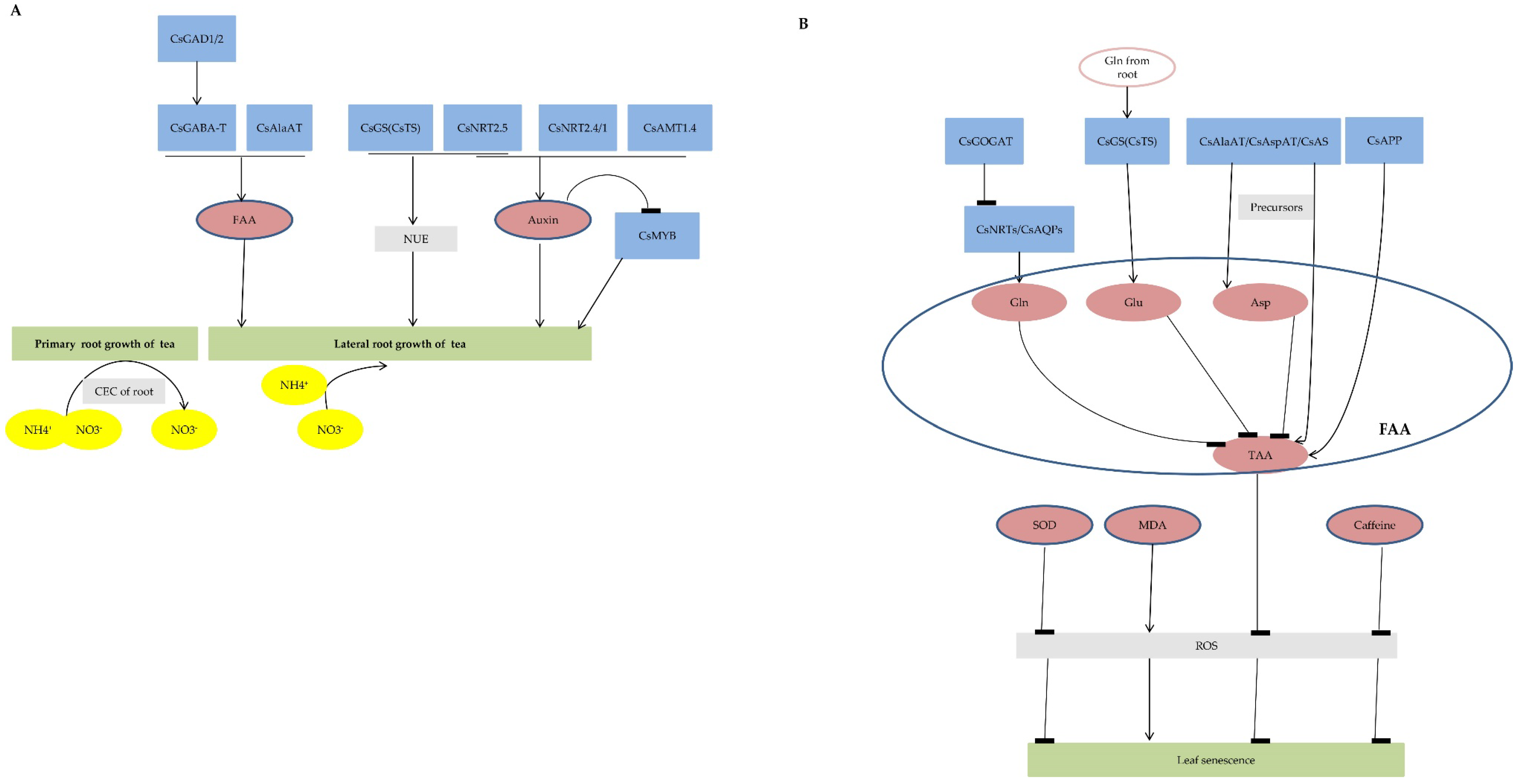 Agronomy 13 00144 g002