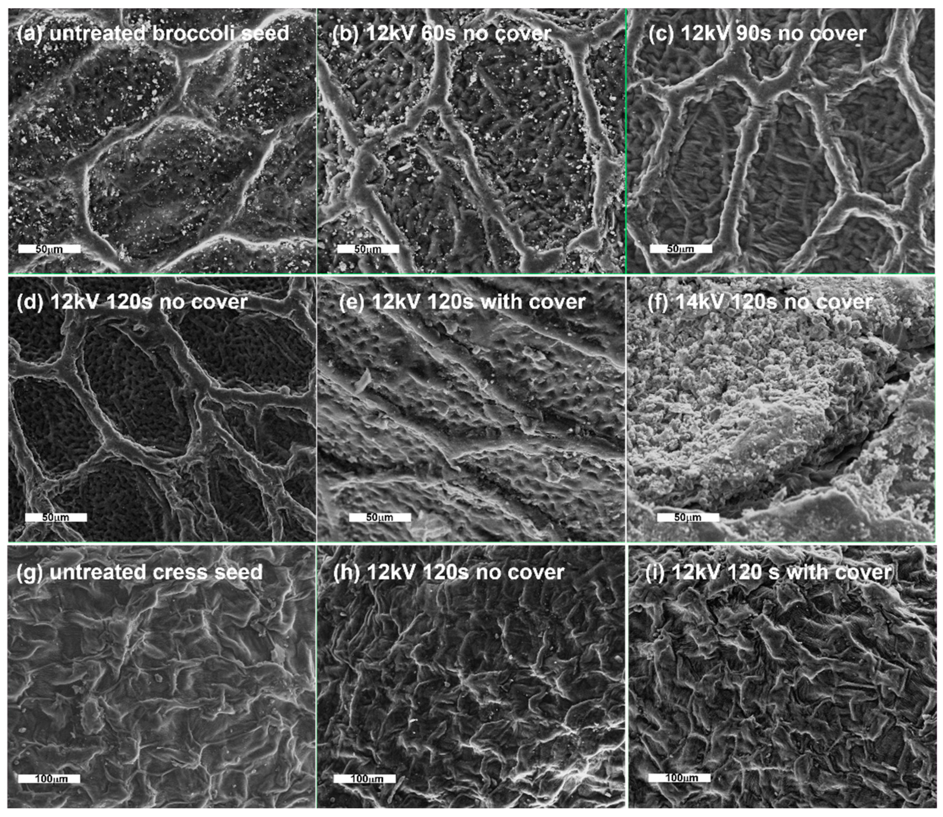 Agronomy 13 00150 g005