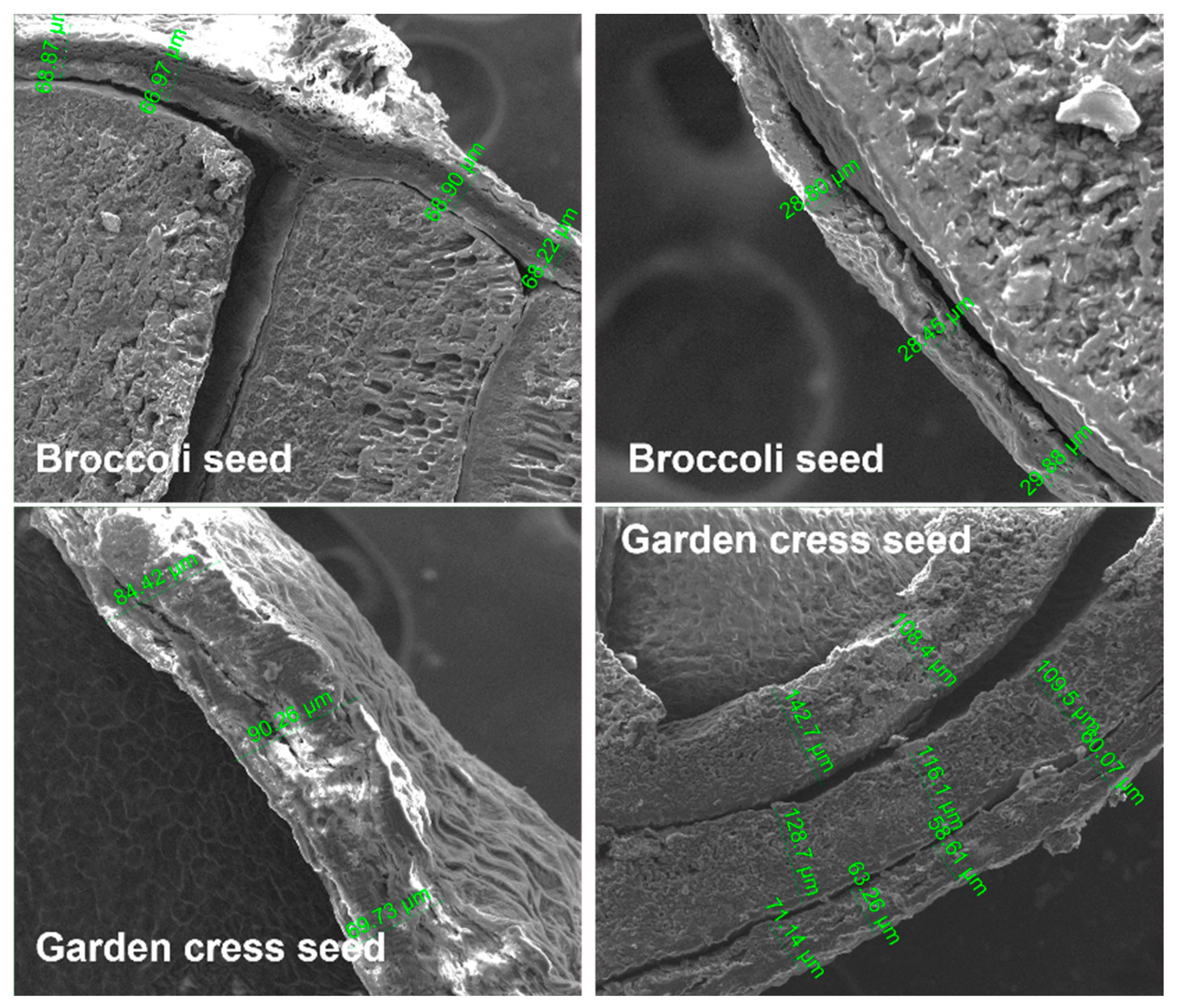 Agronomy 13 00150 g006
