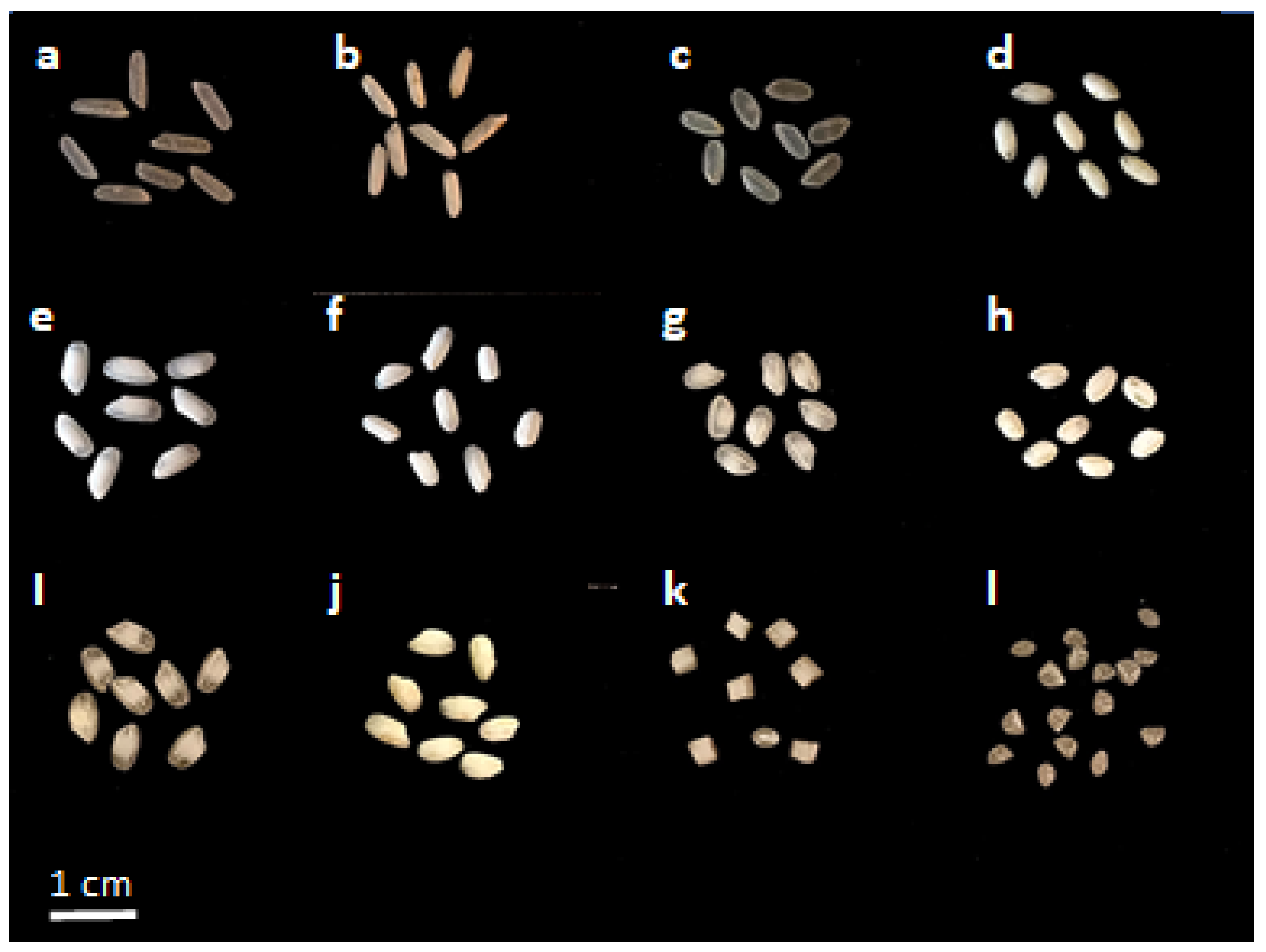 Agronomy 13 00151 g001