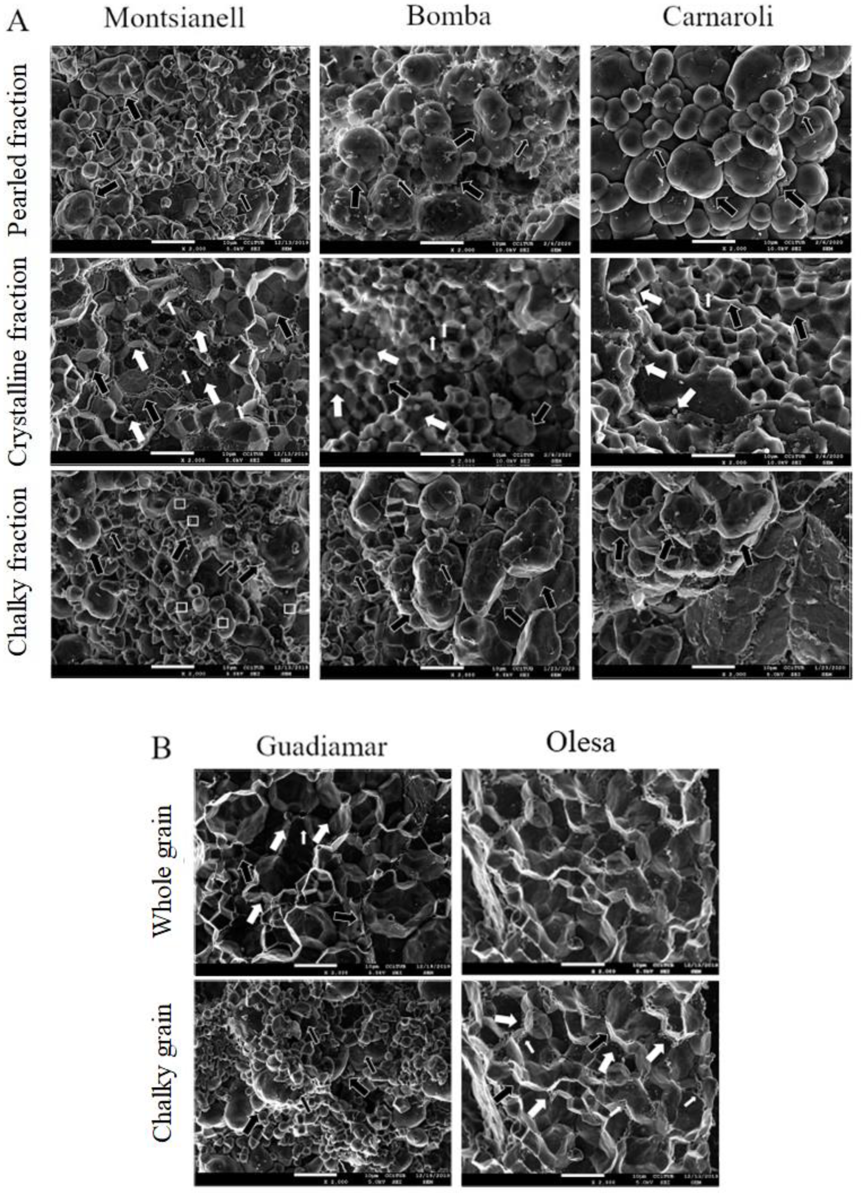 Agronomy 13 00151 g003