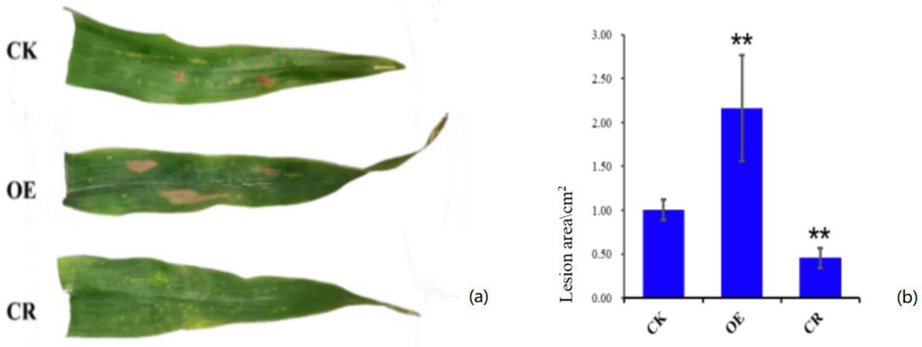 Agronomy 13 00152 g002