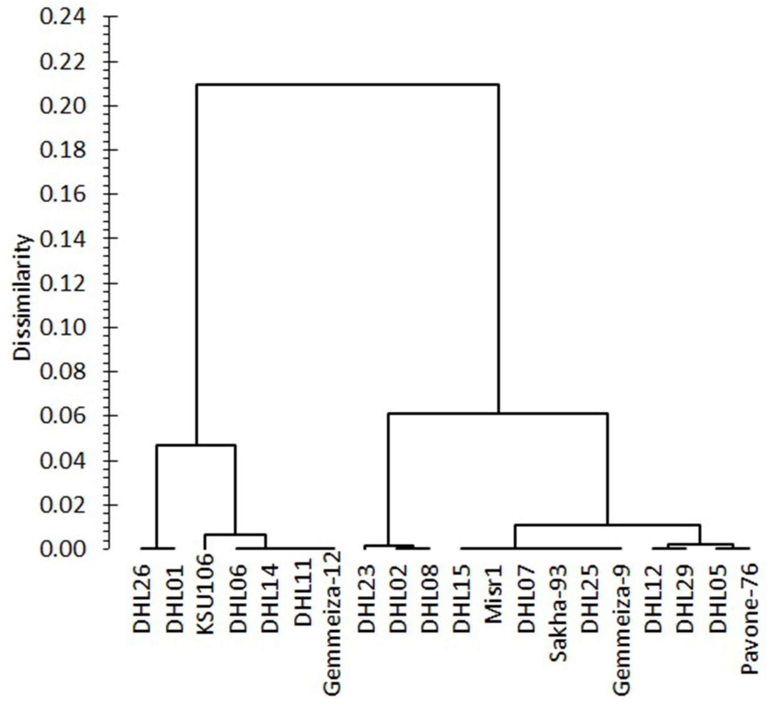 Agronomy 13 00154 g002