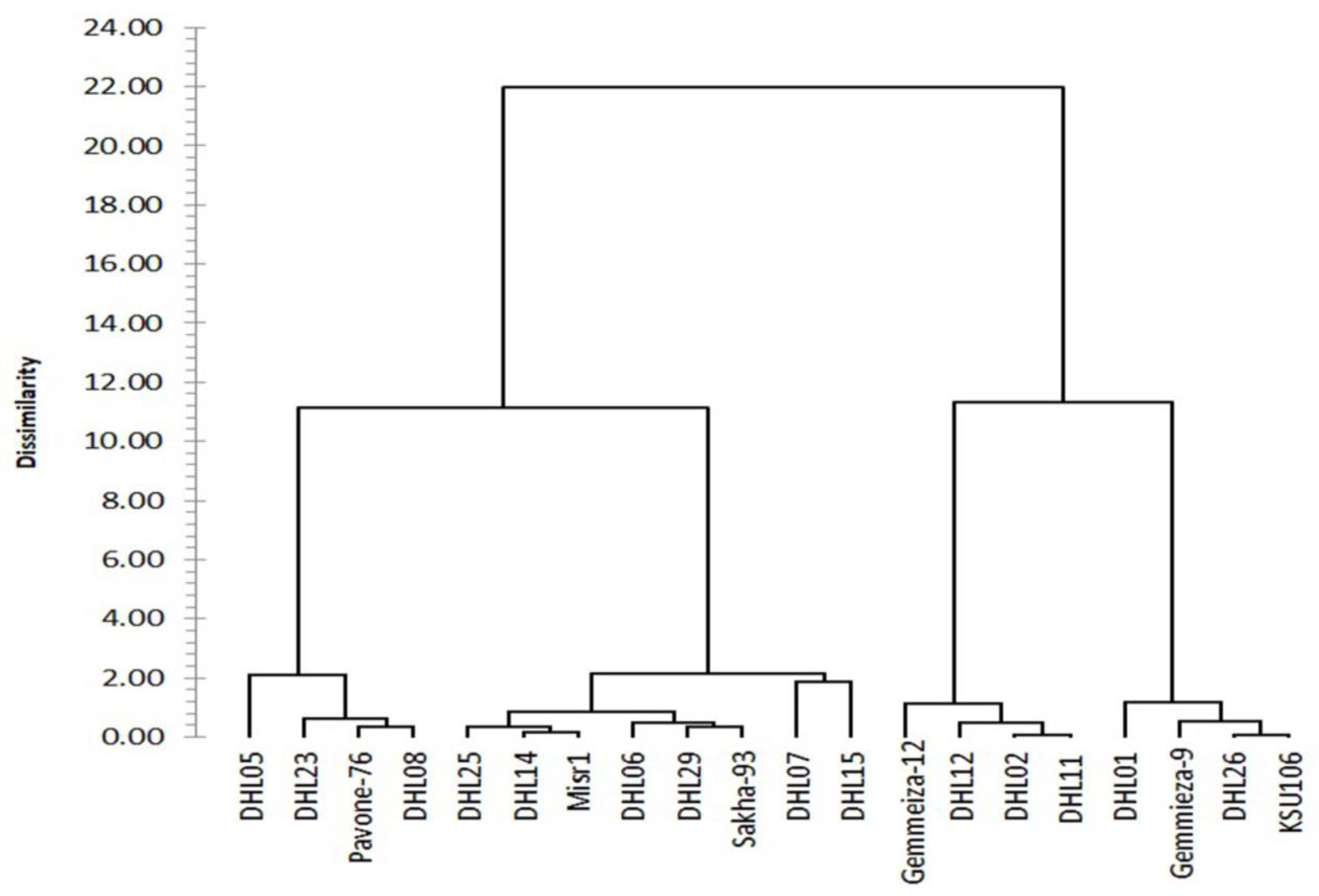 Agronomy 13 00154 g004