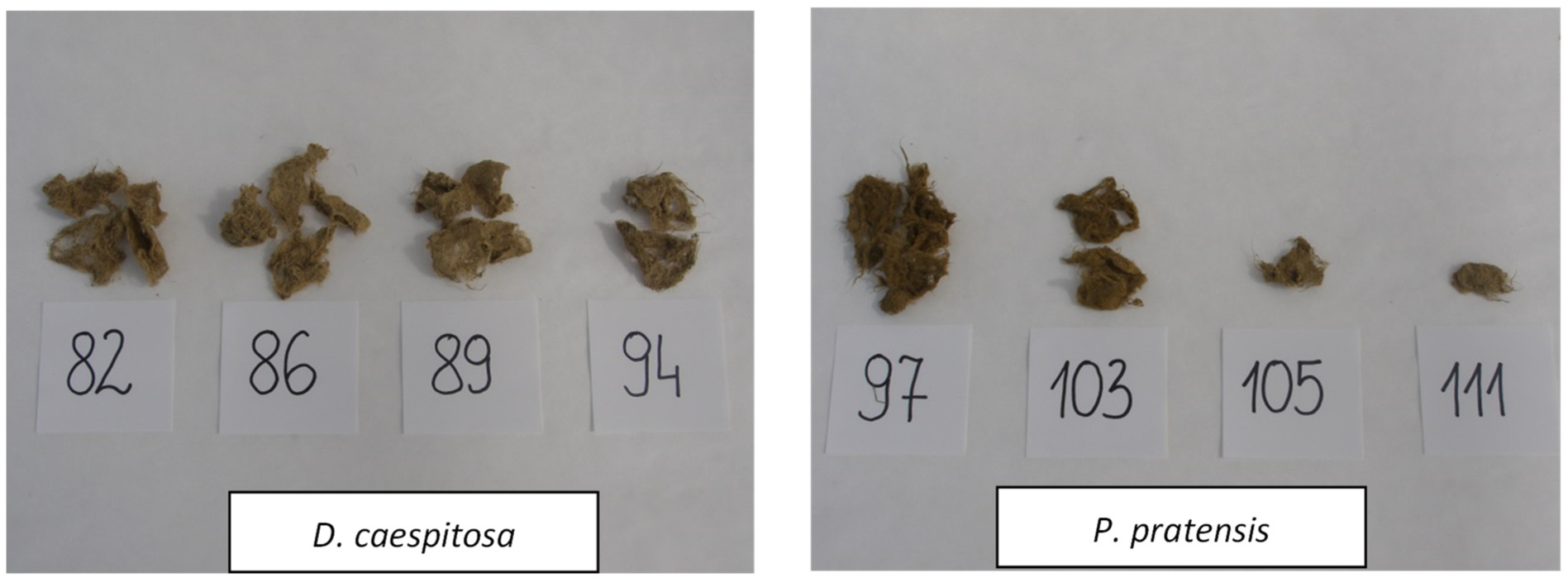 Agronomy 13 00160 g004