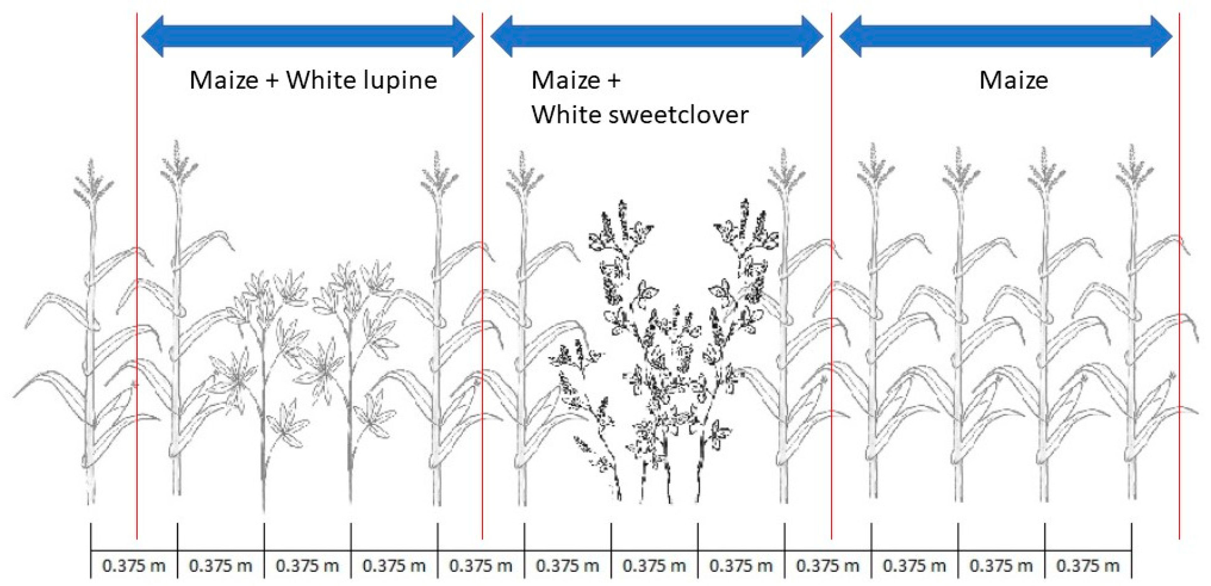 Agronomy 13 00163 g001 Agronomy 13 00163 g001