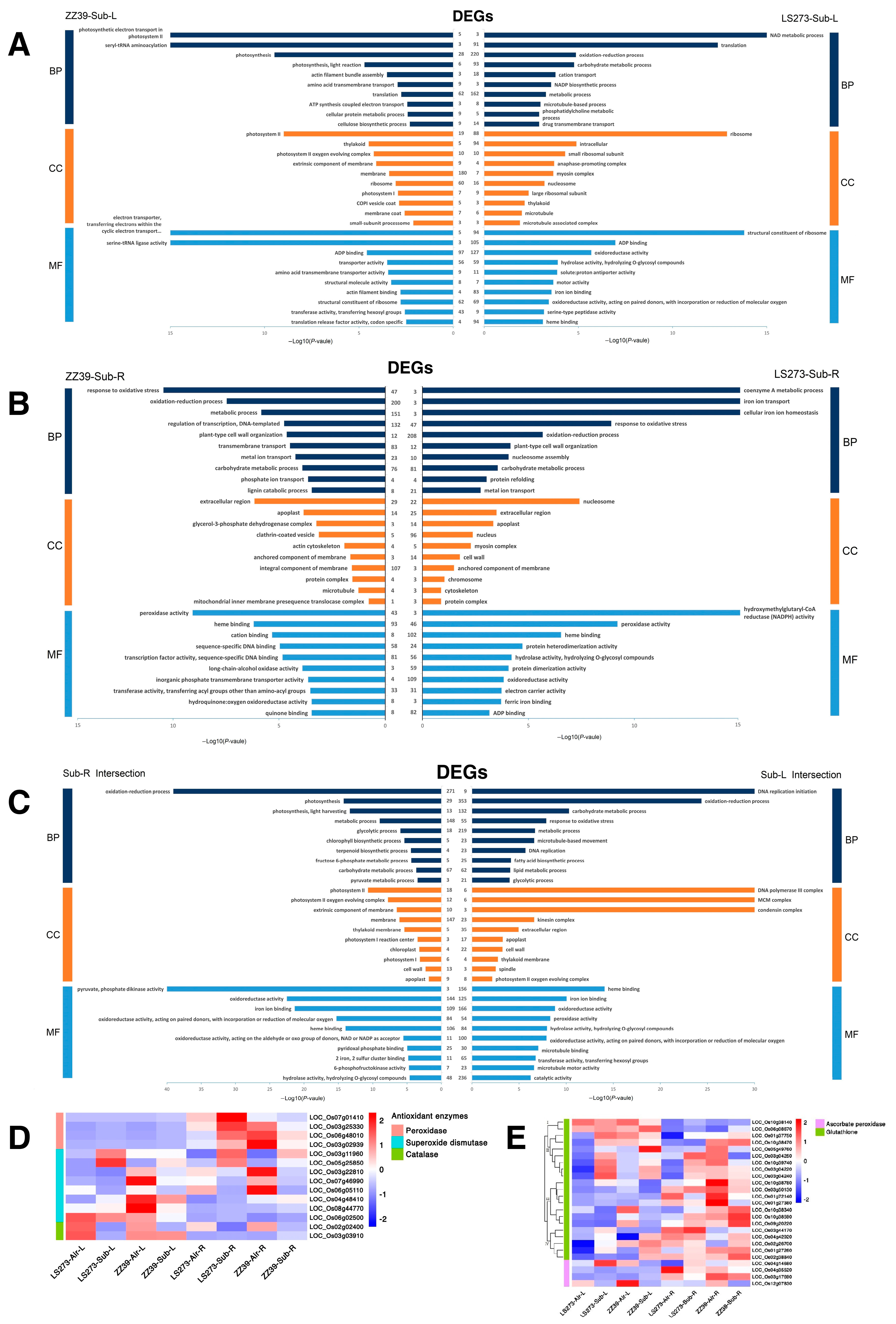 Agronomy 13 00171 g006