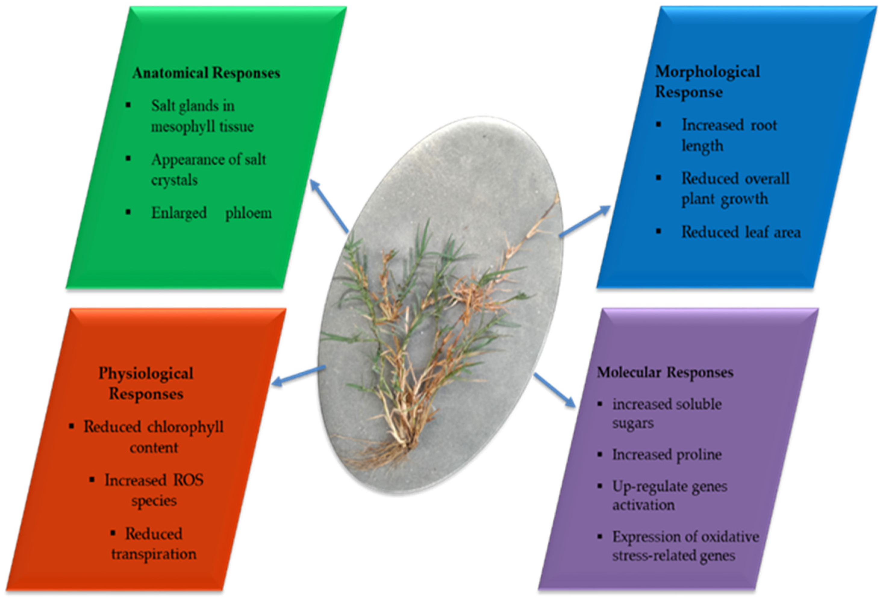 Agronomy 13 00174 g001