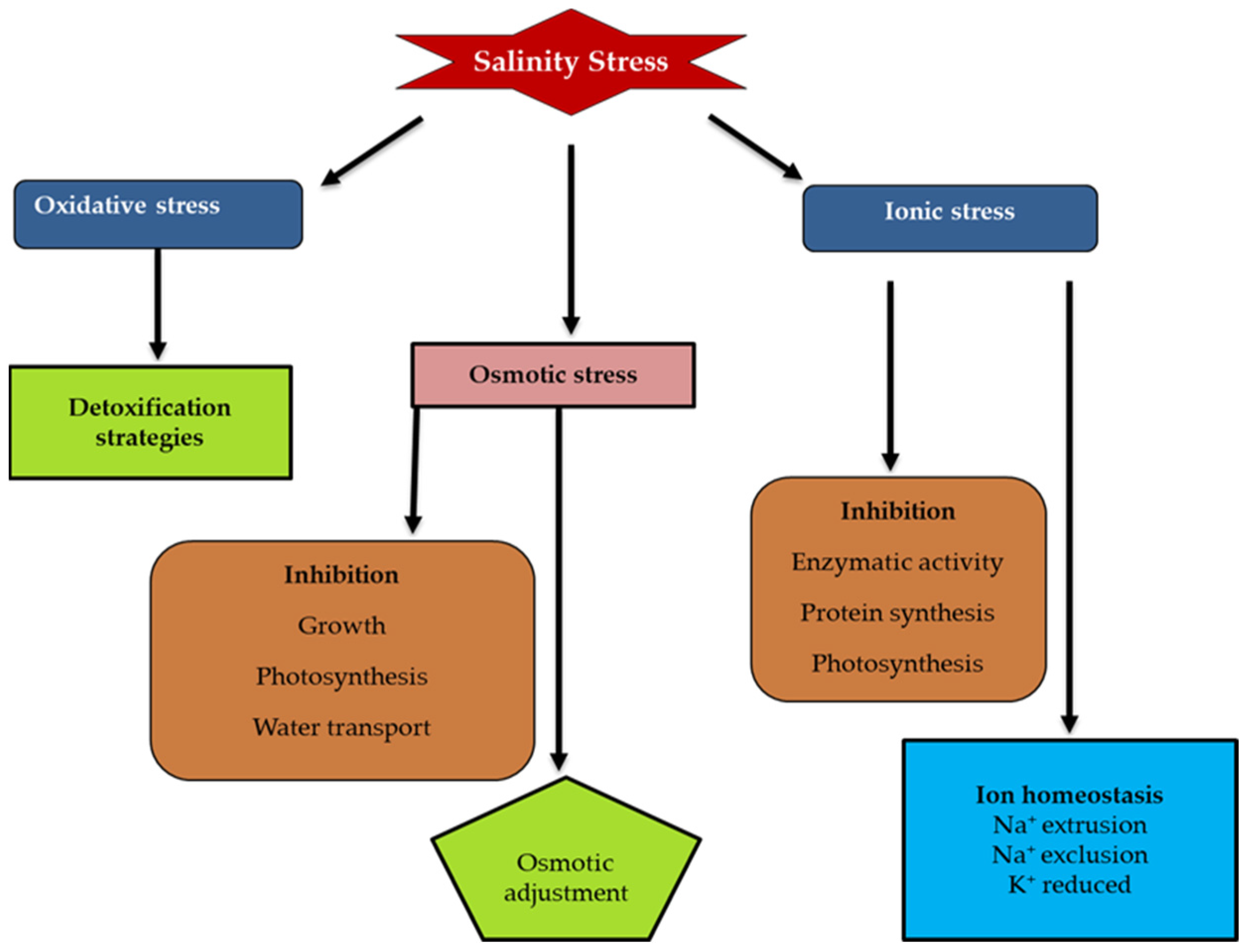 Agronomy 13 00174 g002