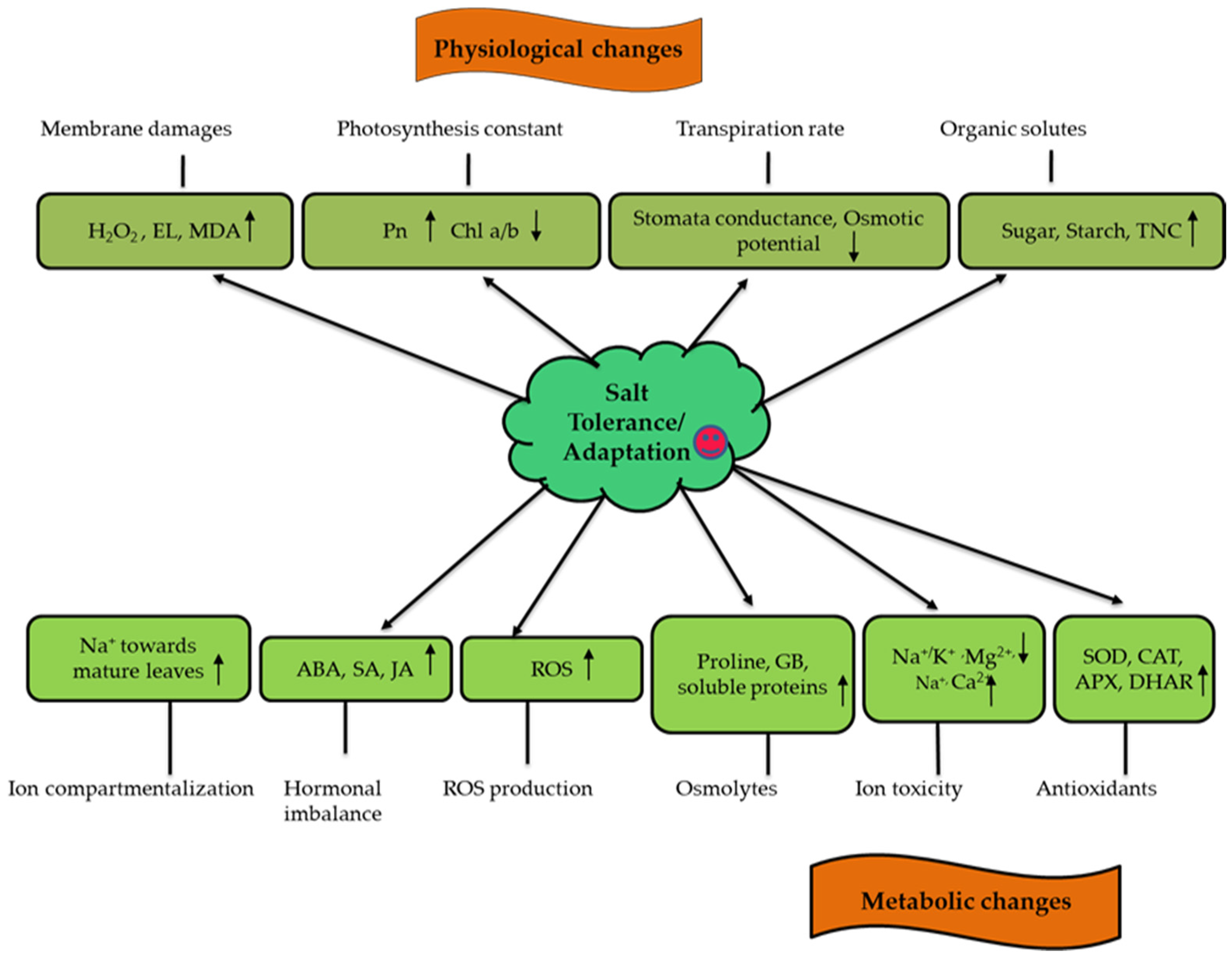 Agronomy 13 00174 g003