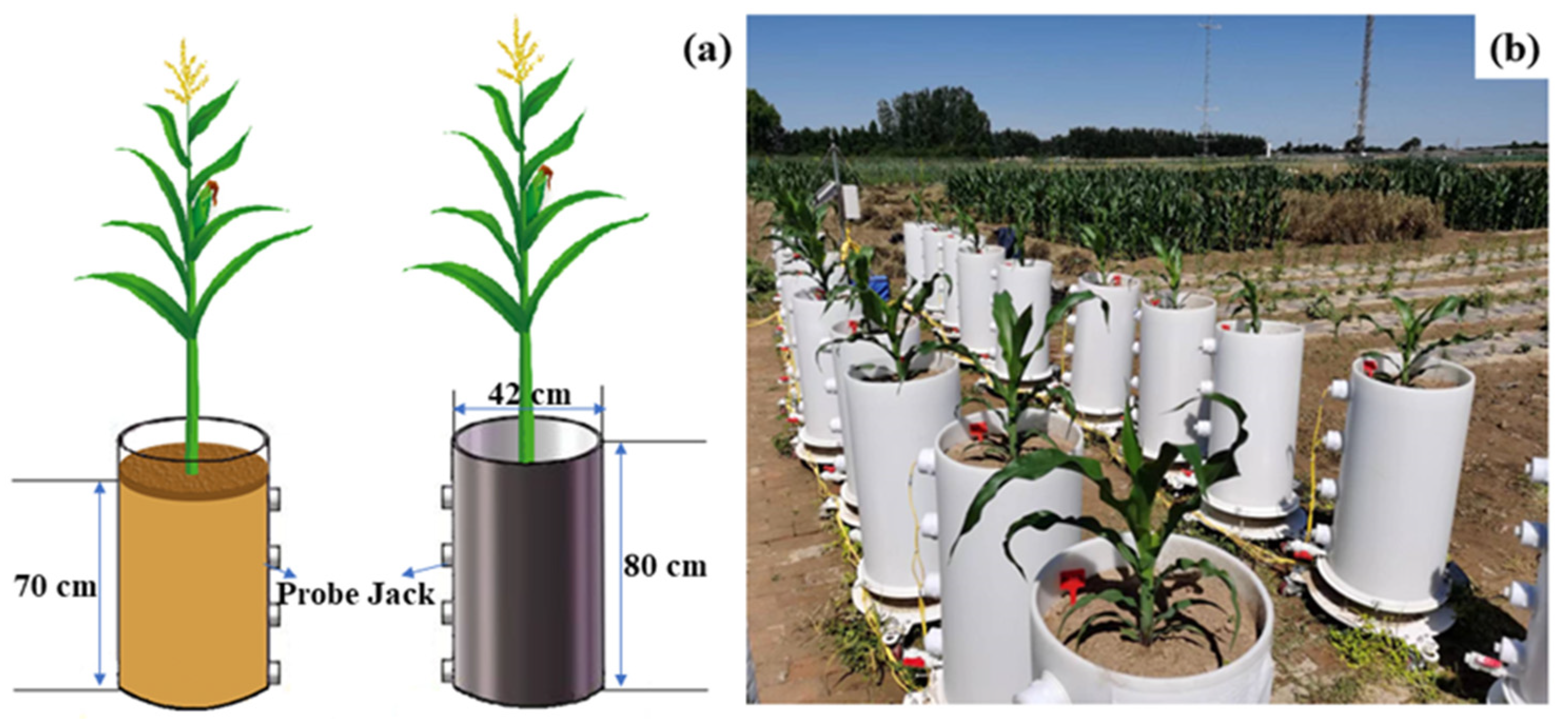 Agronomy 13 00181 g002