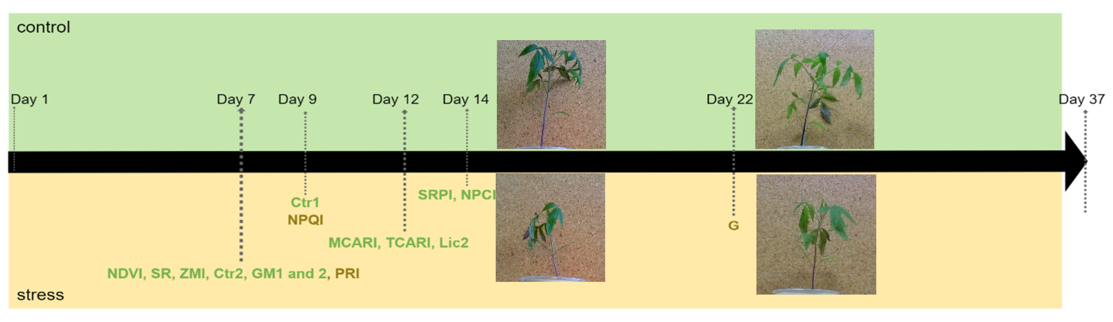 Agronomy 13 00183 g004