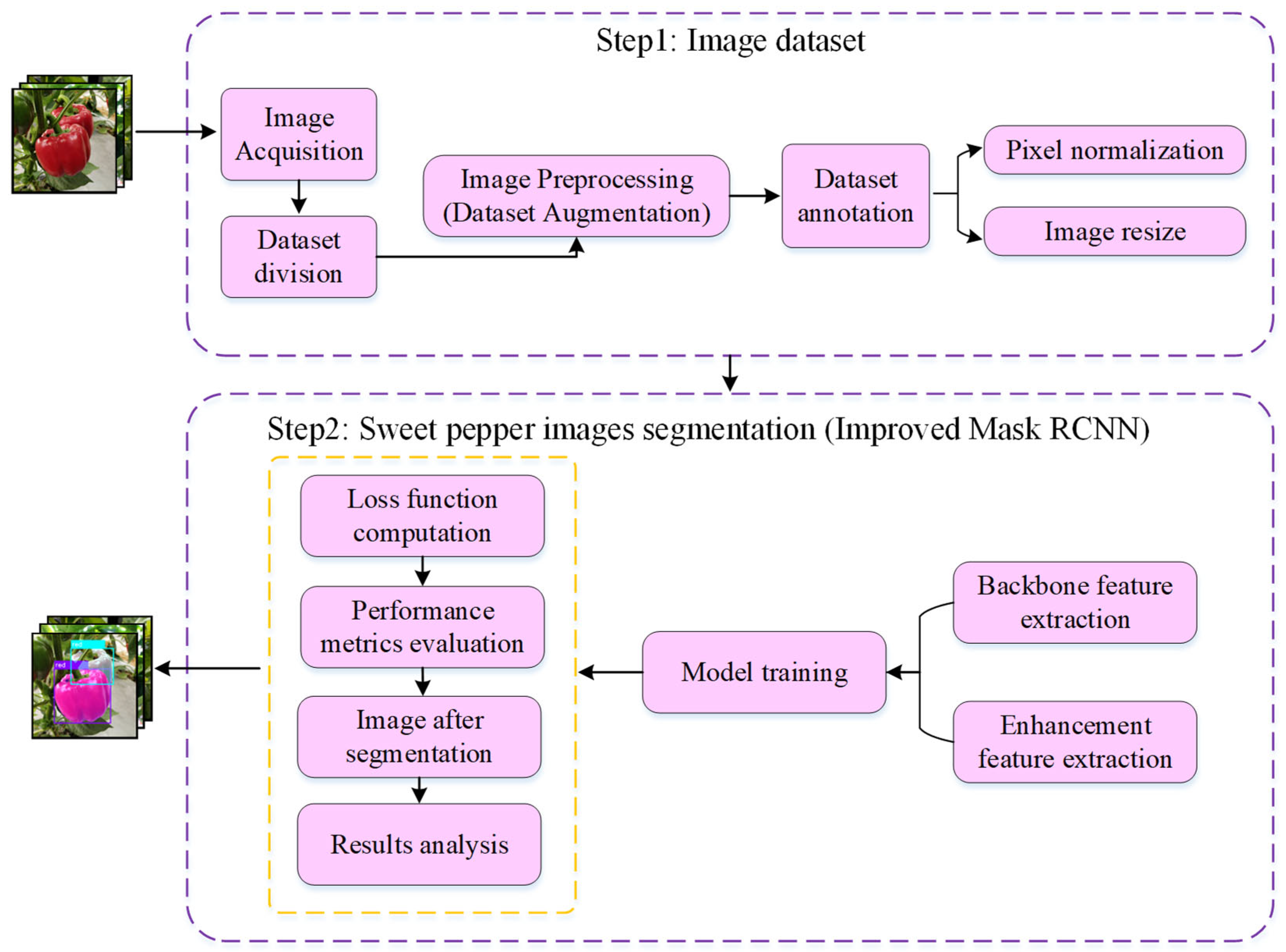 Agronomy 13 00196 g001