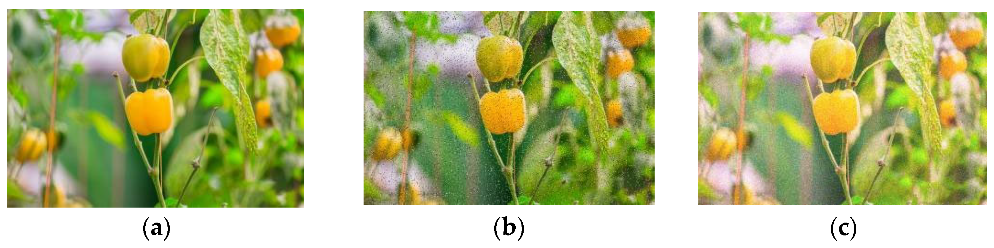 Agronomy 13 00196 g005