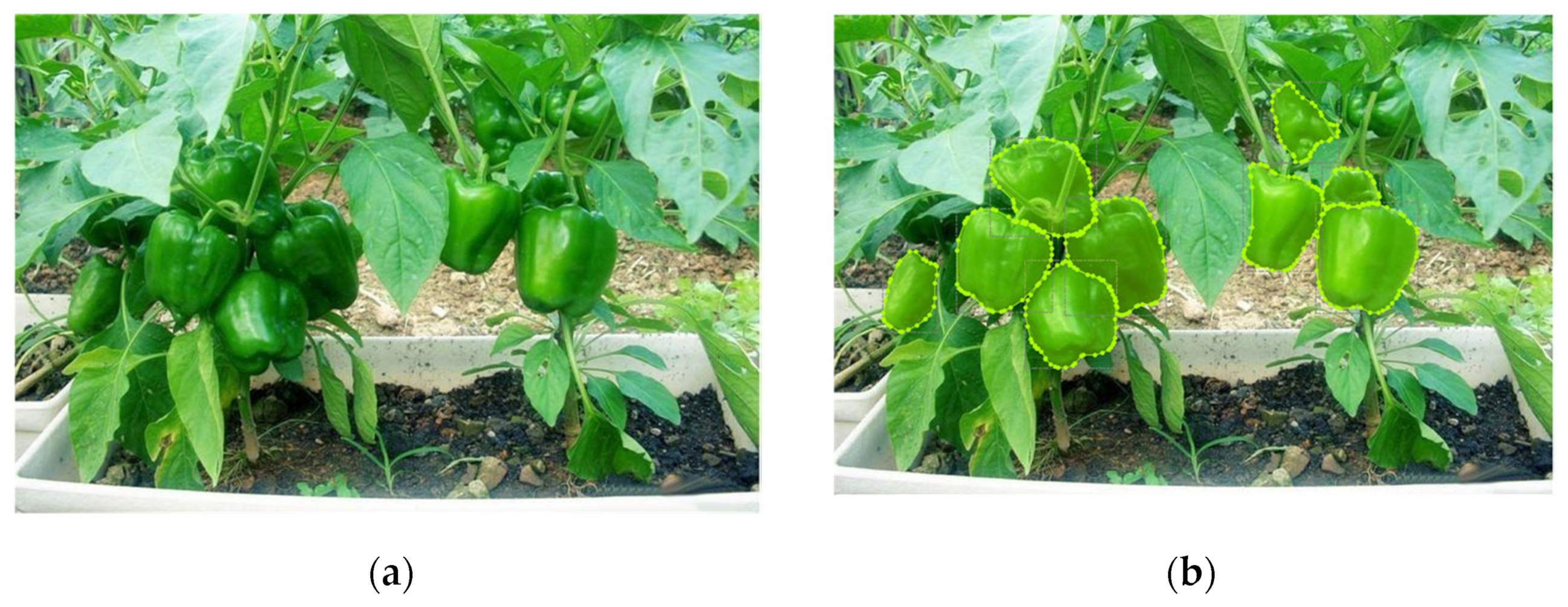 Agronomy 13 00196 g006