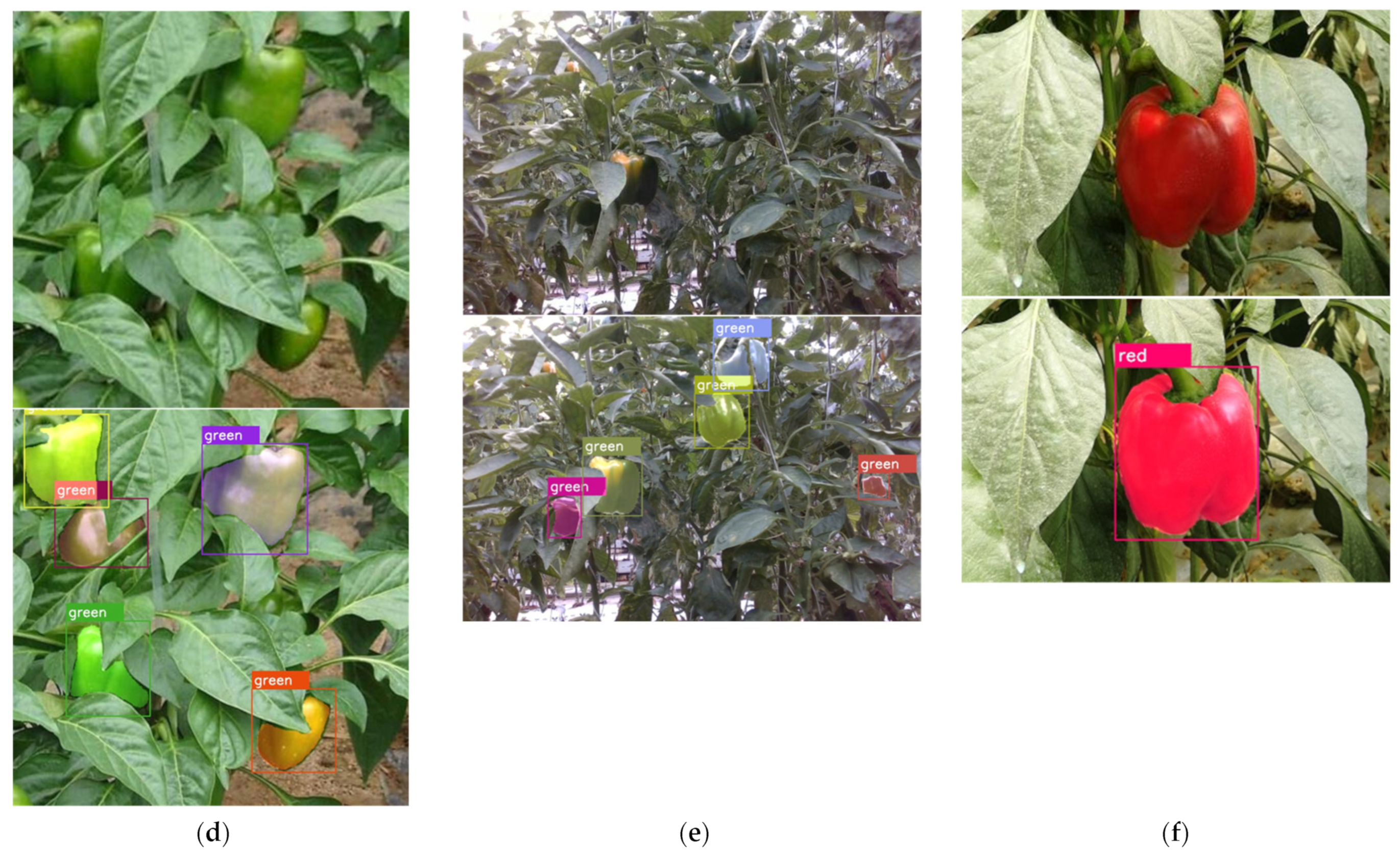 Agronomy 13 00196 g009b