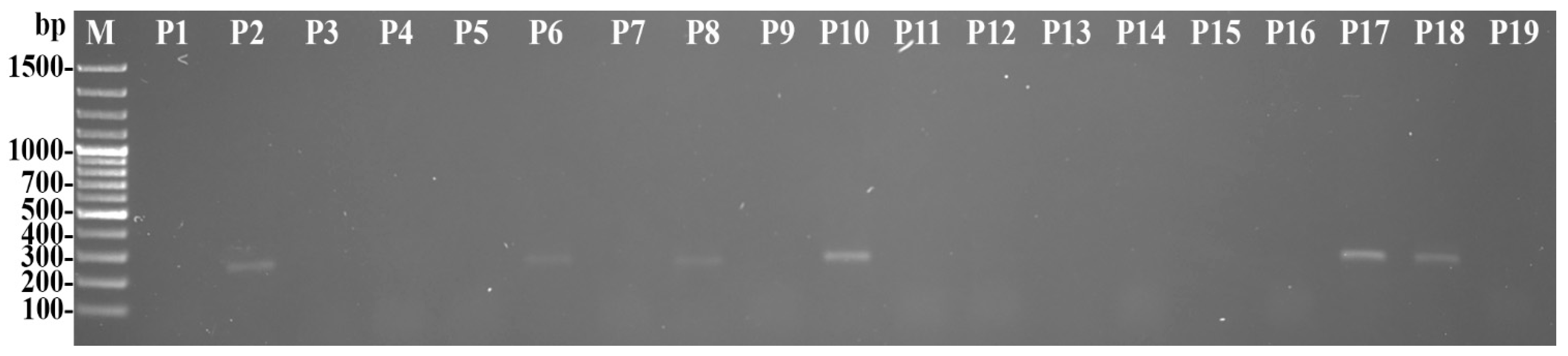 Agronomy 13 00199 g001 Agronomy 13 00199 g001