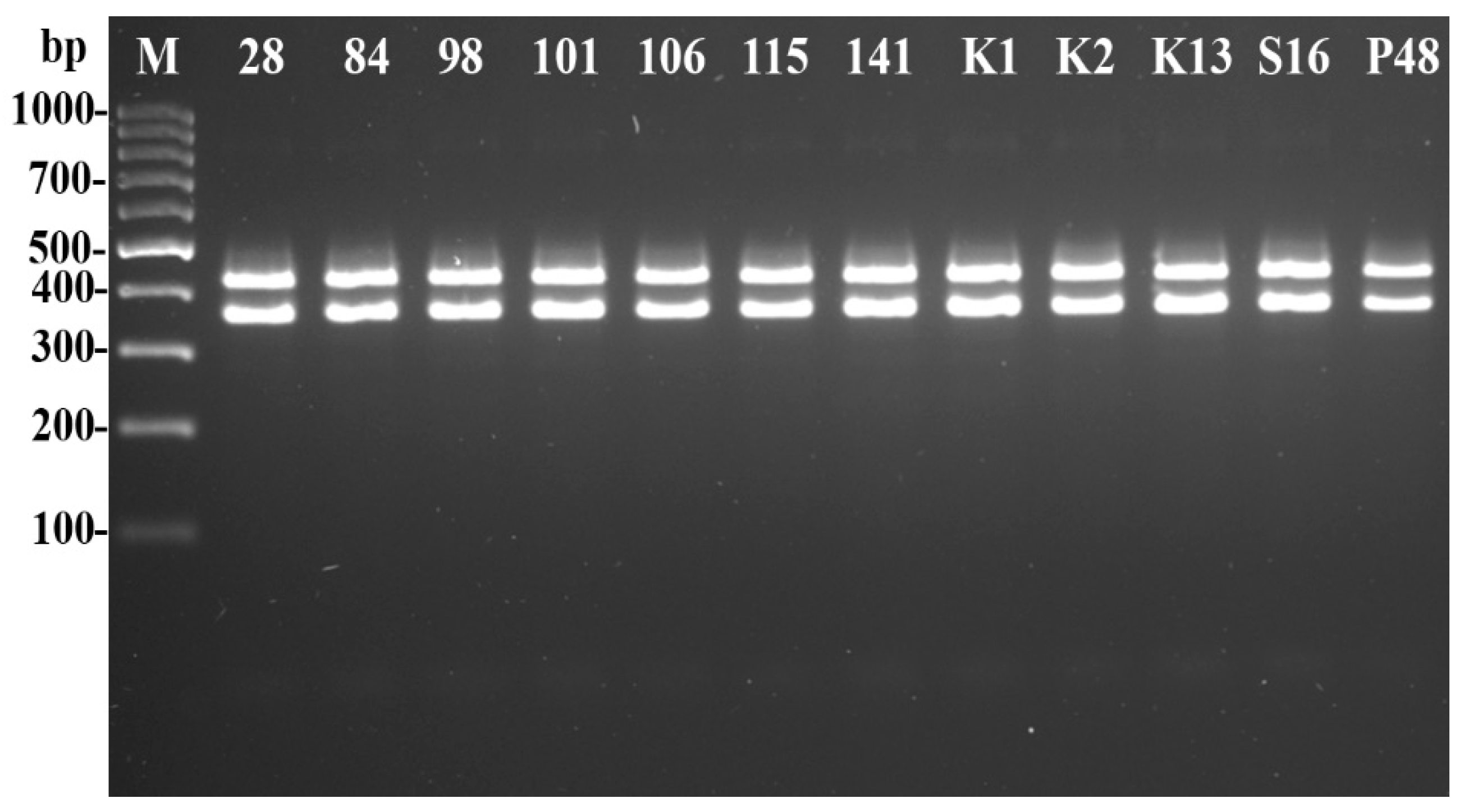 Agronomy 13 00199 g002 Agronomy 13 00199 g002