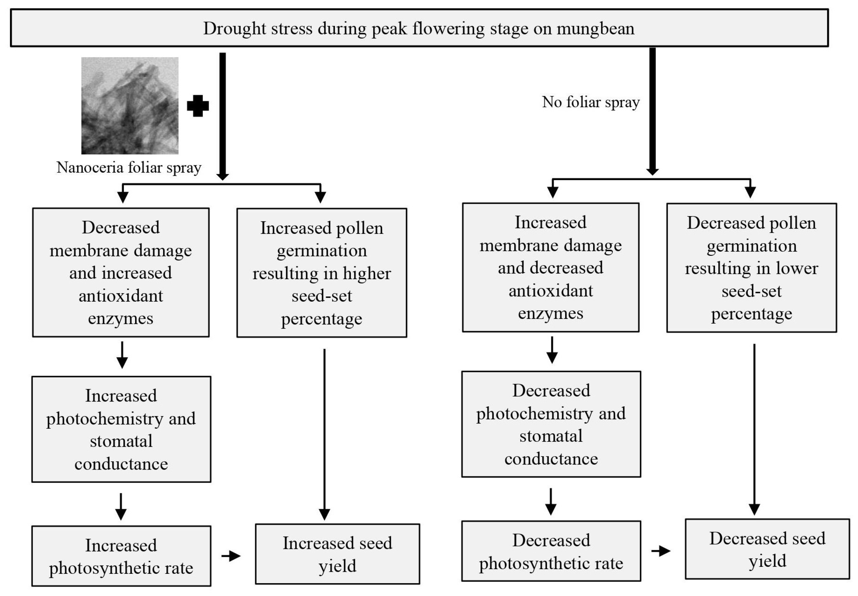 Agronomy 13 00201 g009