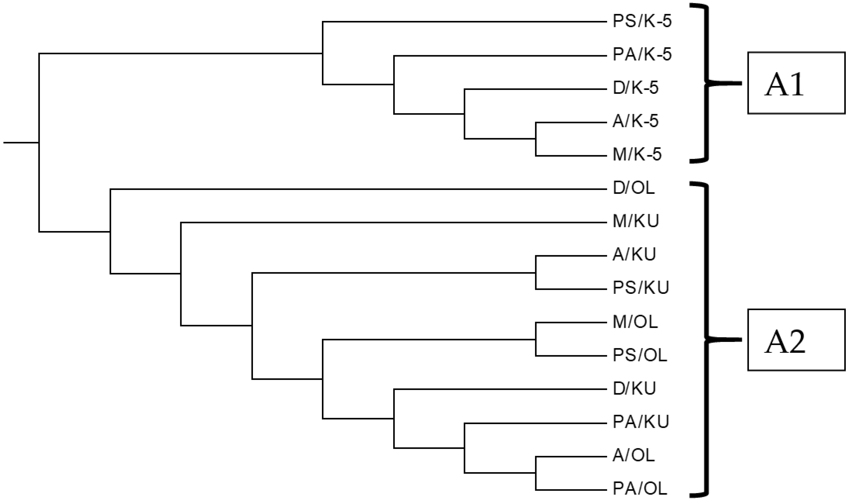 Agronomy 13 00204 g005