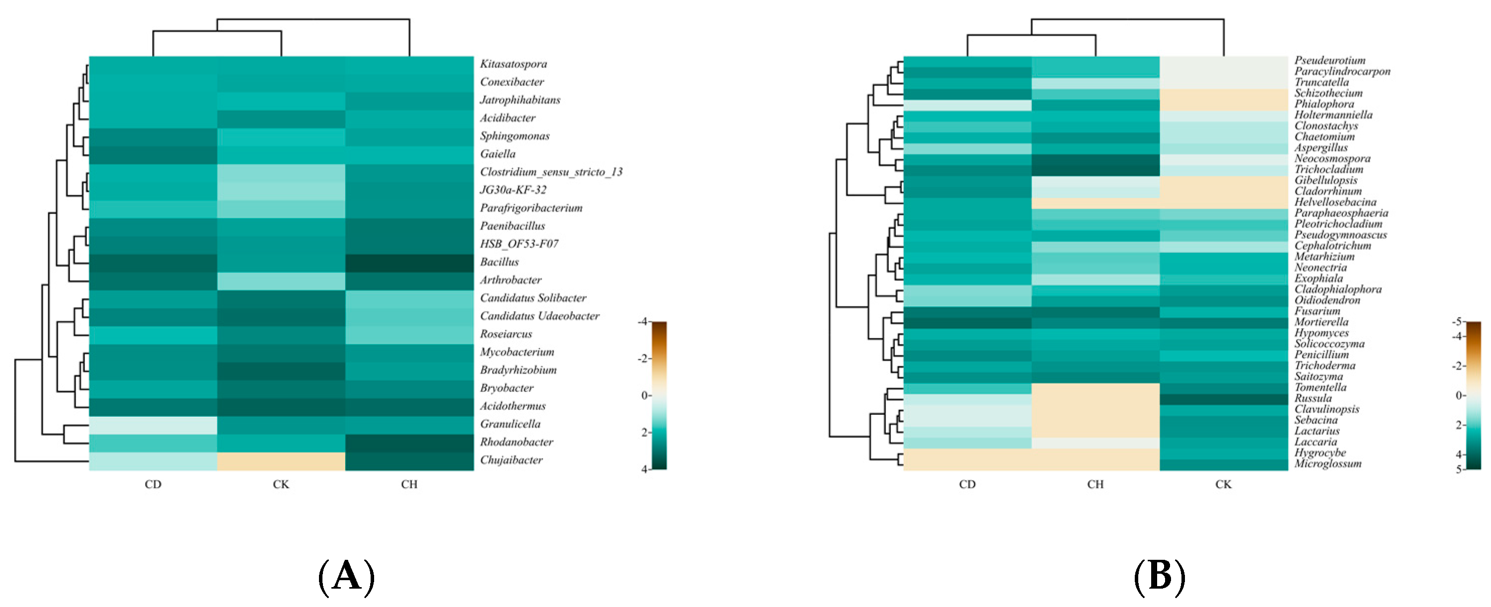 Agronomy 13 00210 g006
