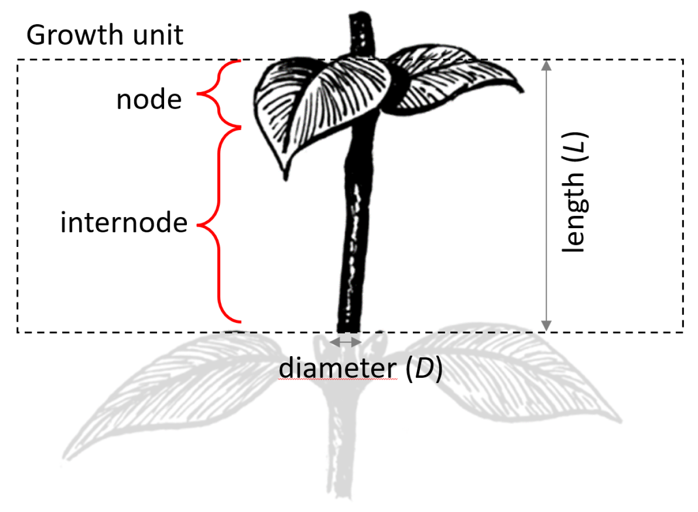 Agronomy 13 00218 g001