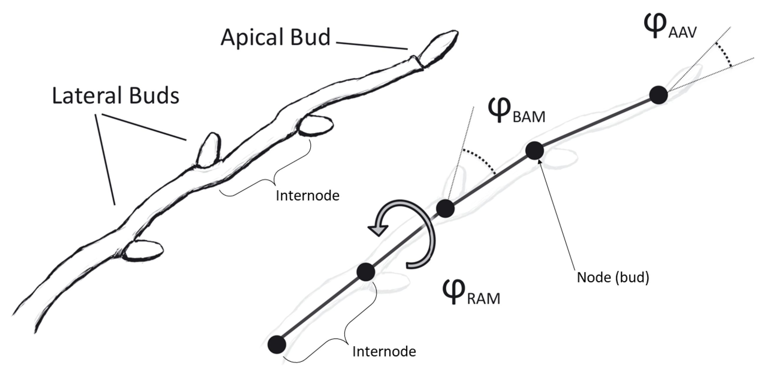 Agronomy 13 00218 g005