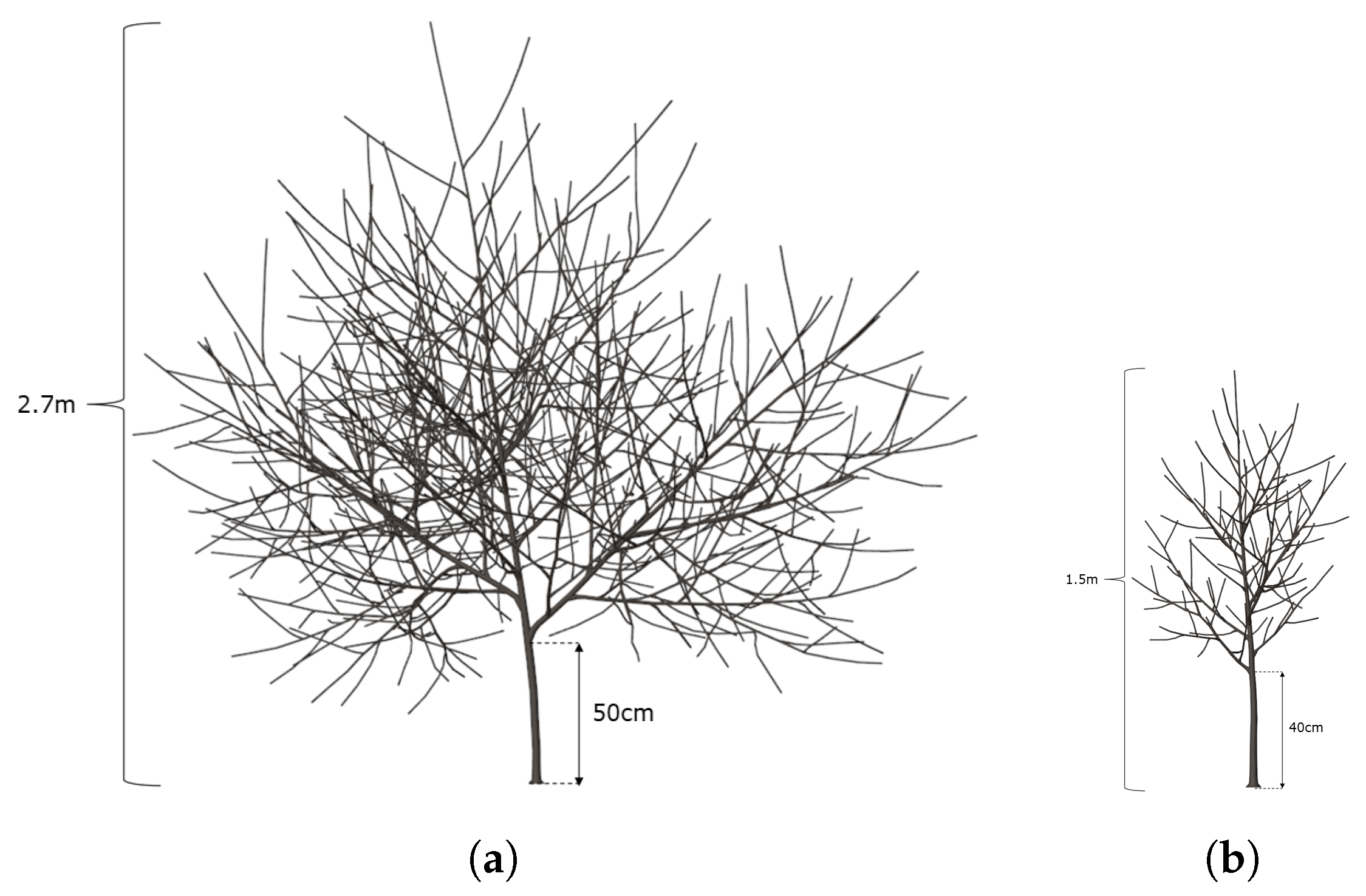 Agronomy 13 00218 g011