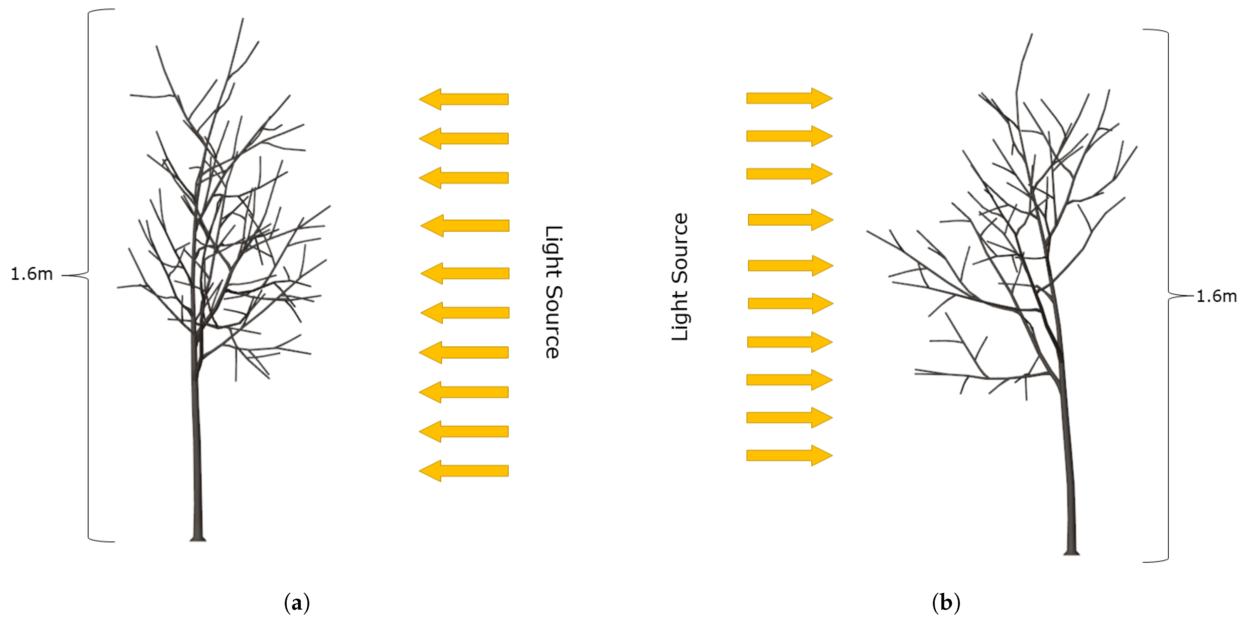 Agronomy 13 00218 g013